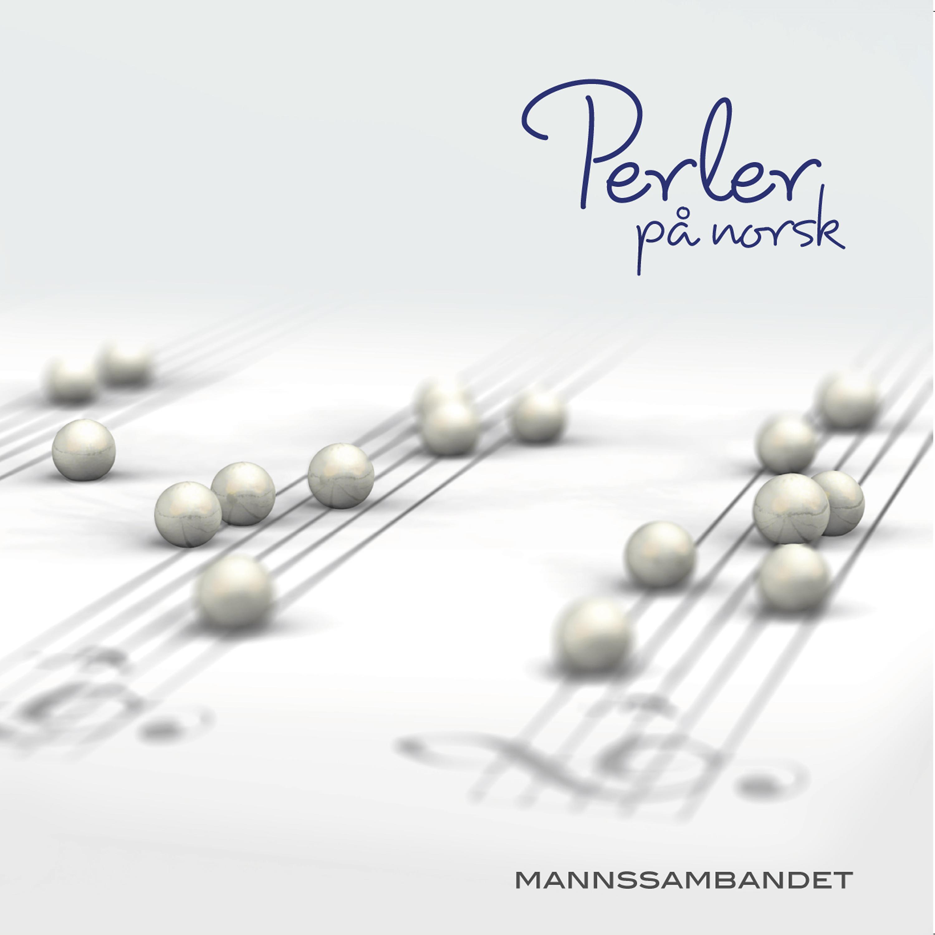 Постер альбома Perler på norsk