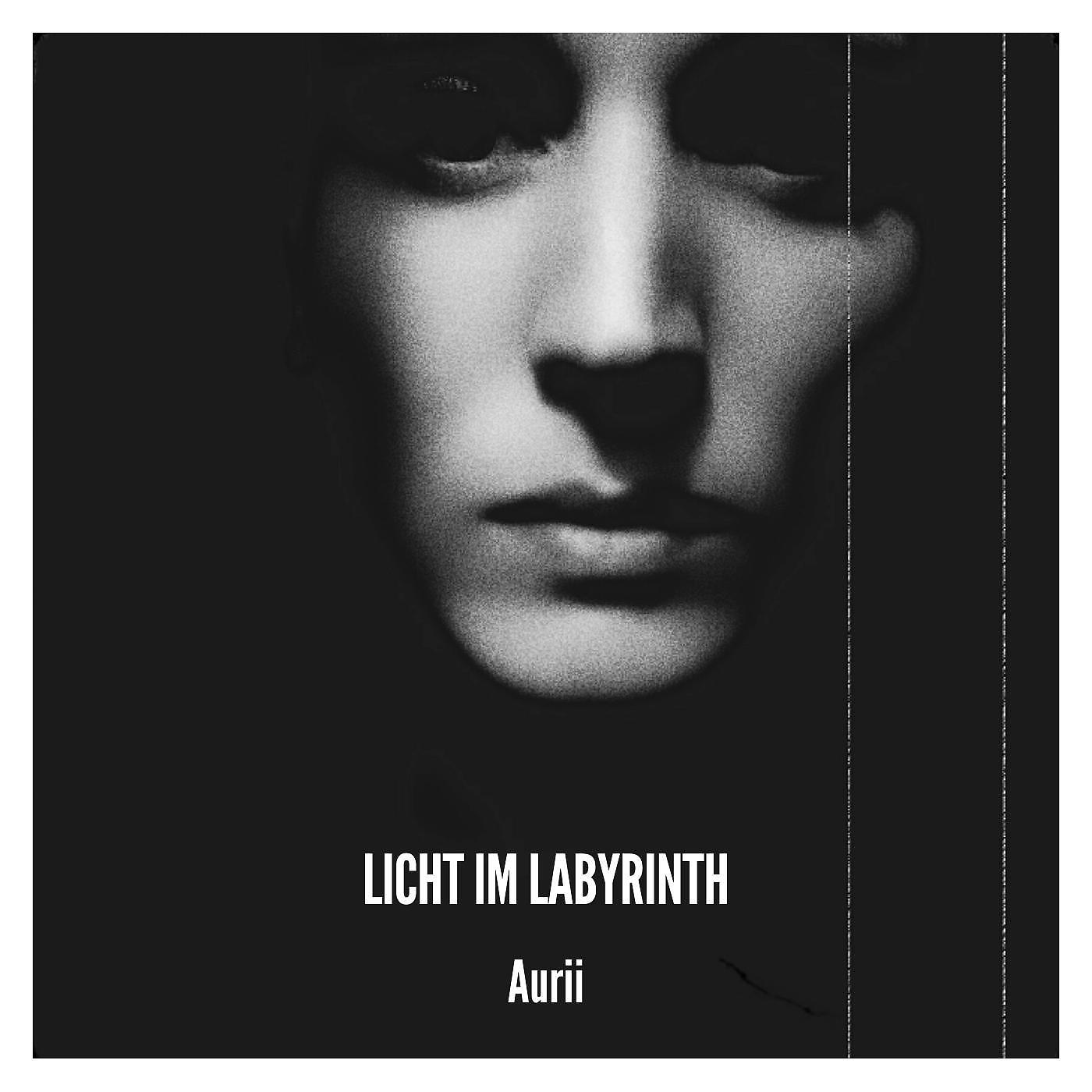 Постер альбома Licht im Labyrinth