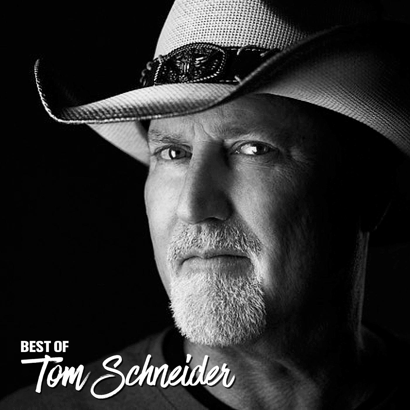 Постер альбома Best of Tom Schneider