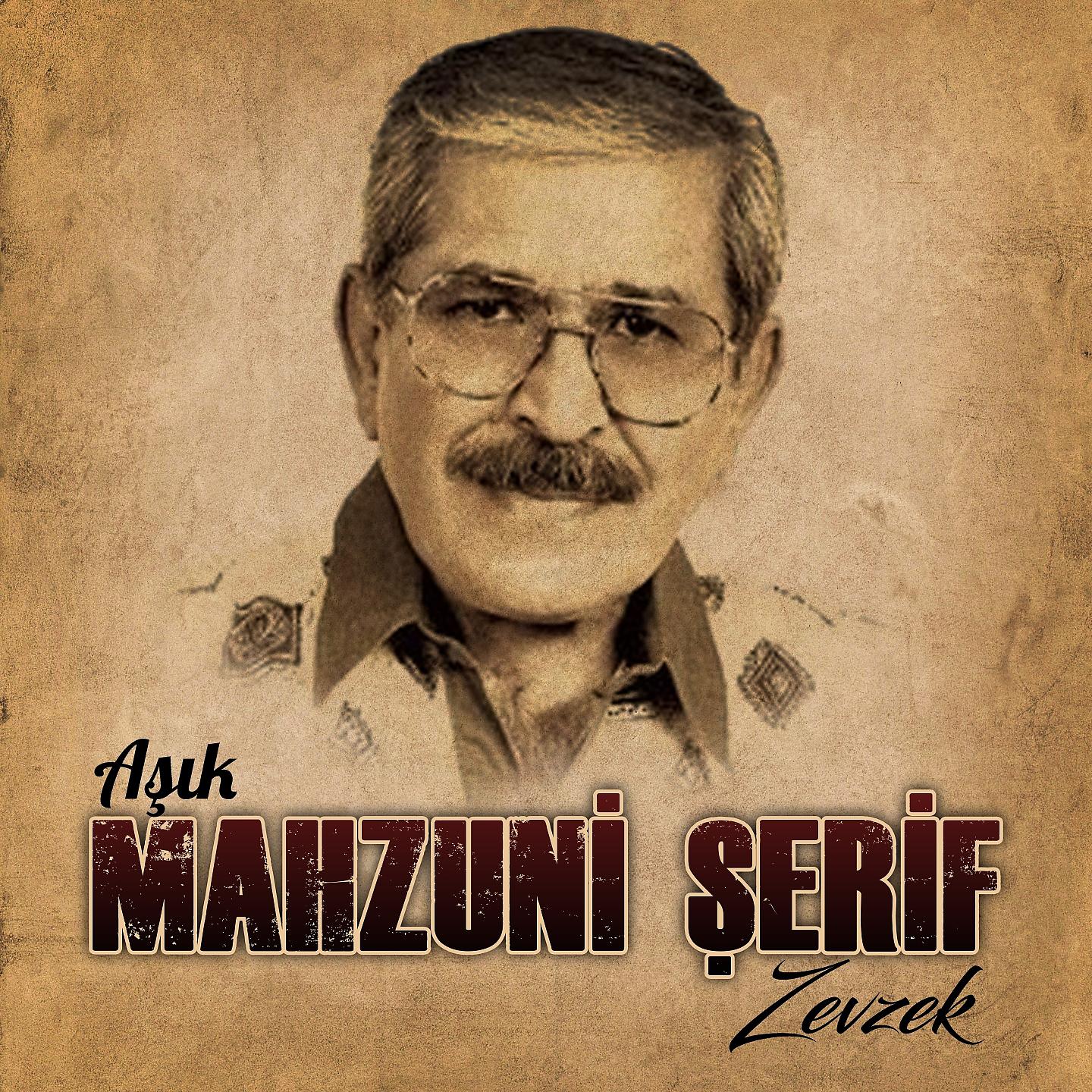 Постер альбома Zevzek