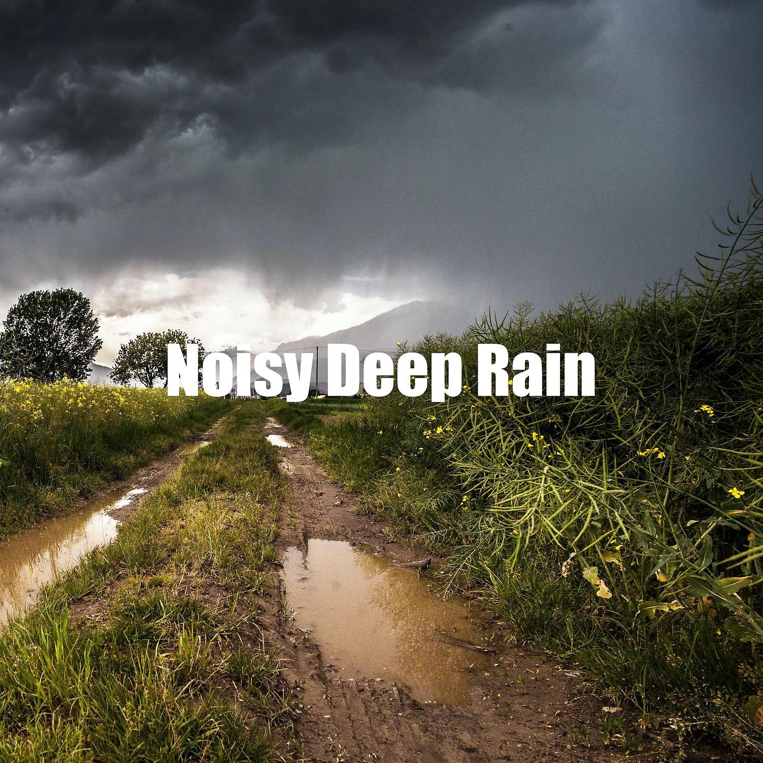 Постер альбома Noisy Deep Rain