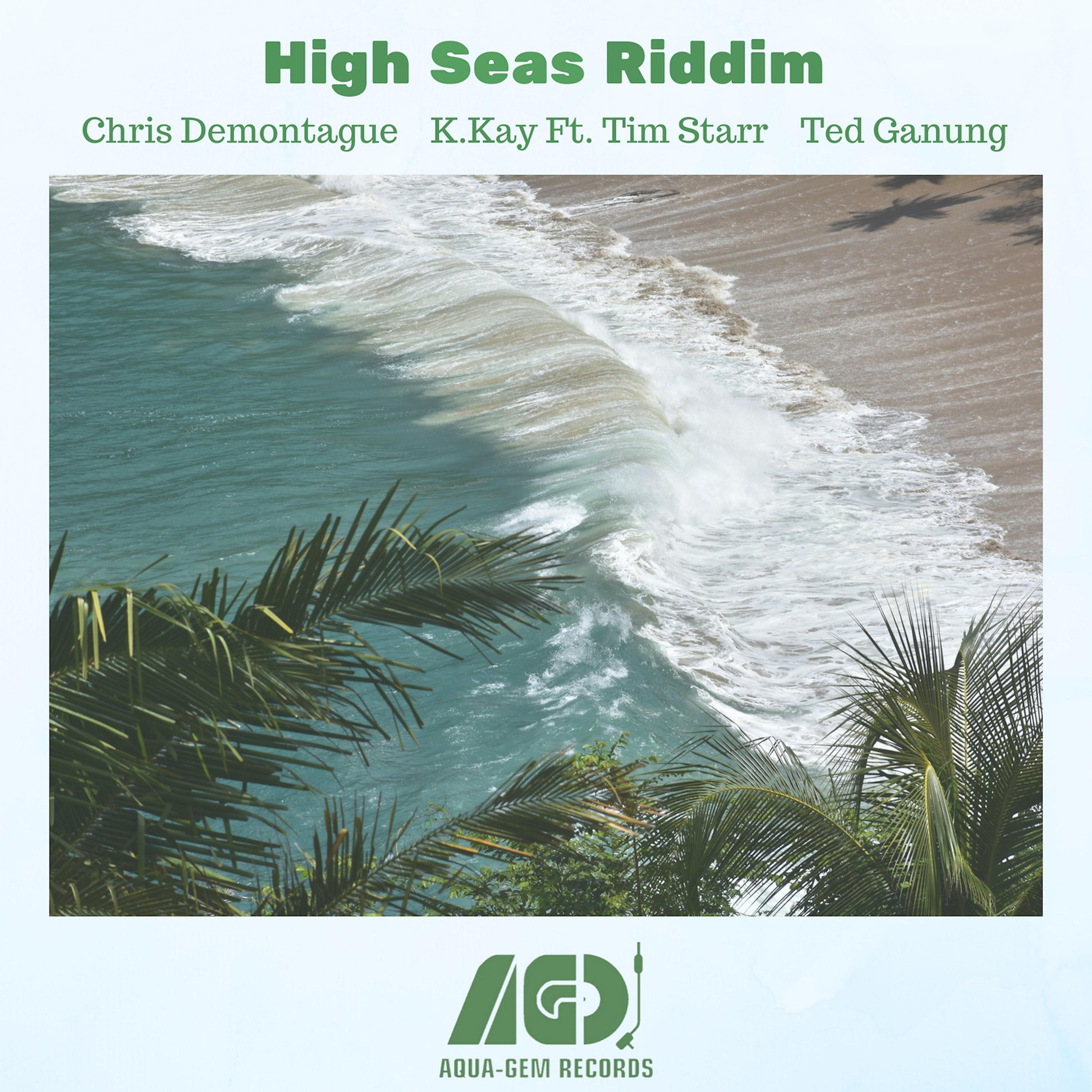 Постер альбома High Seas Riddim
