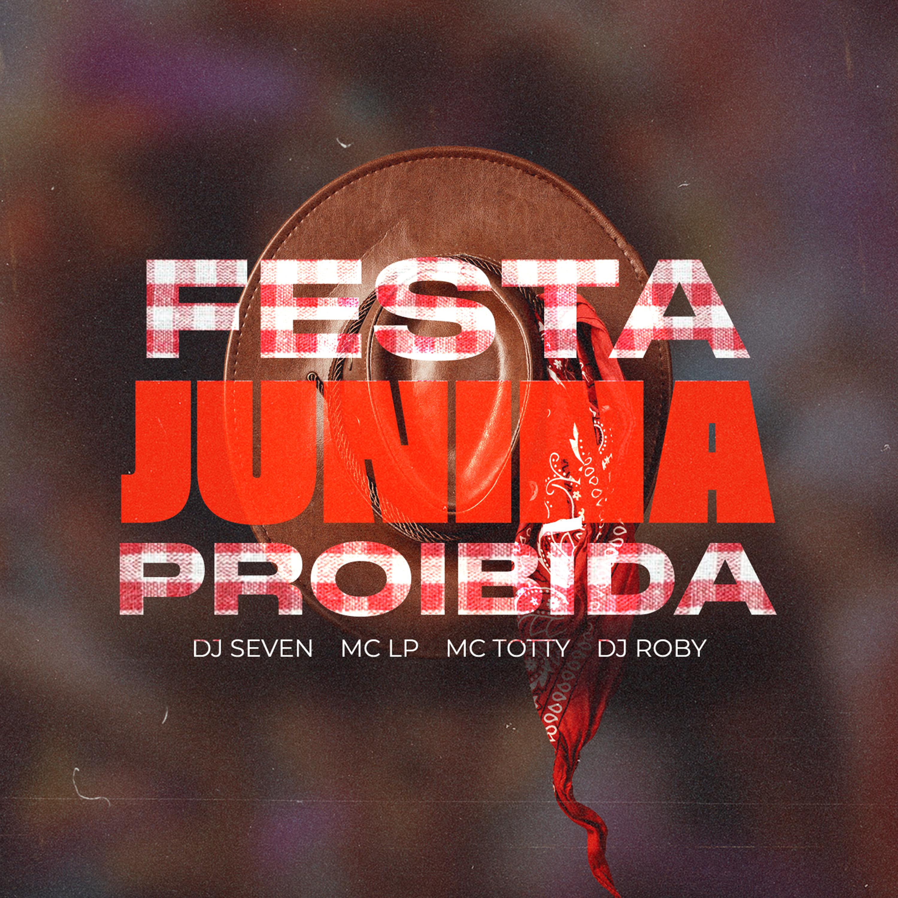 Постер альбома Festa Junina Proibida