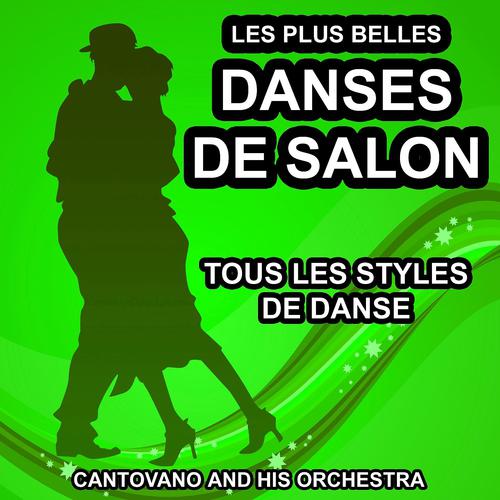 Постер альбома Les plus belles danses de salon : Tous les styles