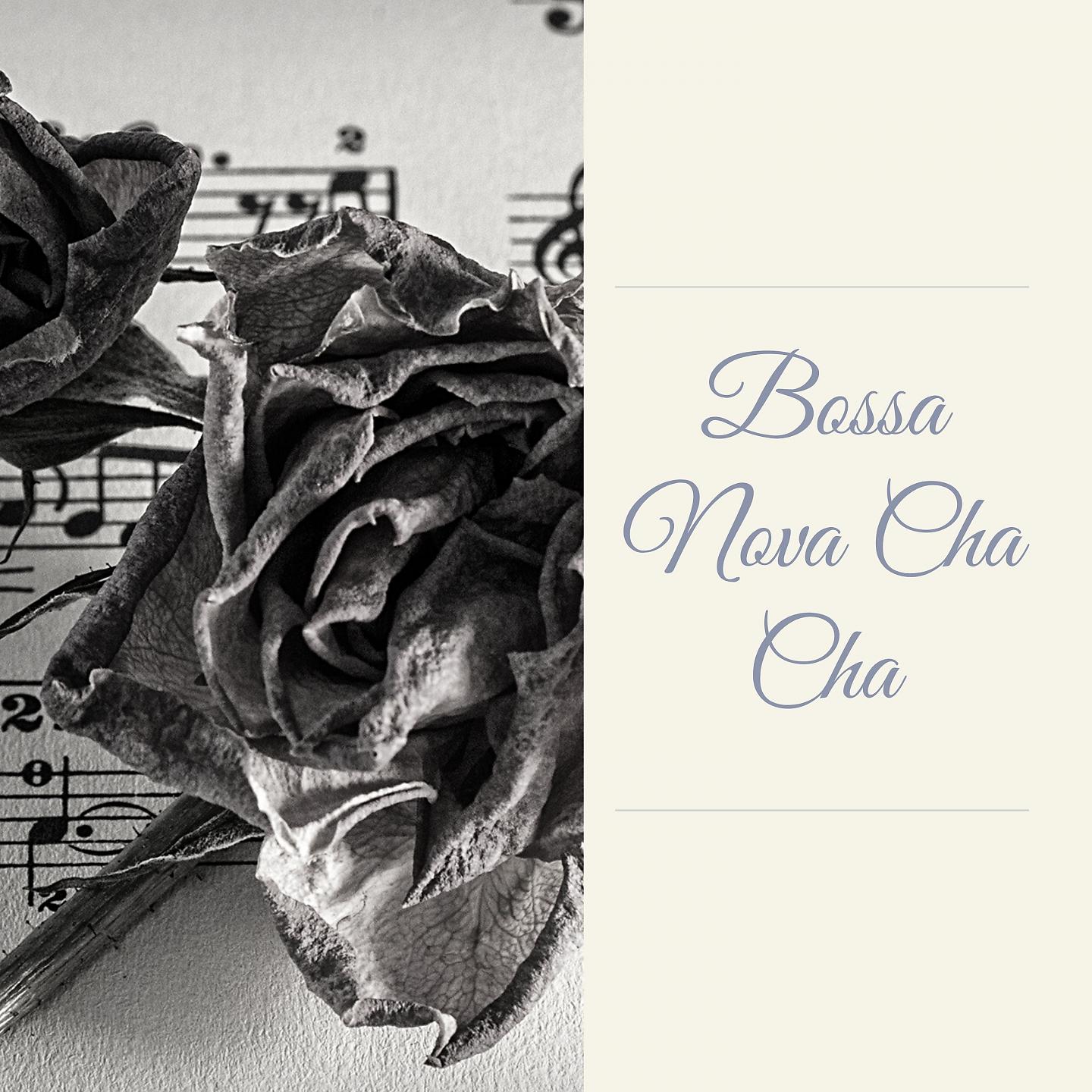 Постер альбома Bossa Nova Cha Cha