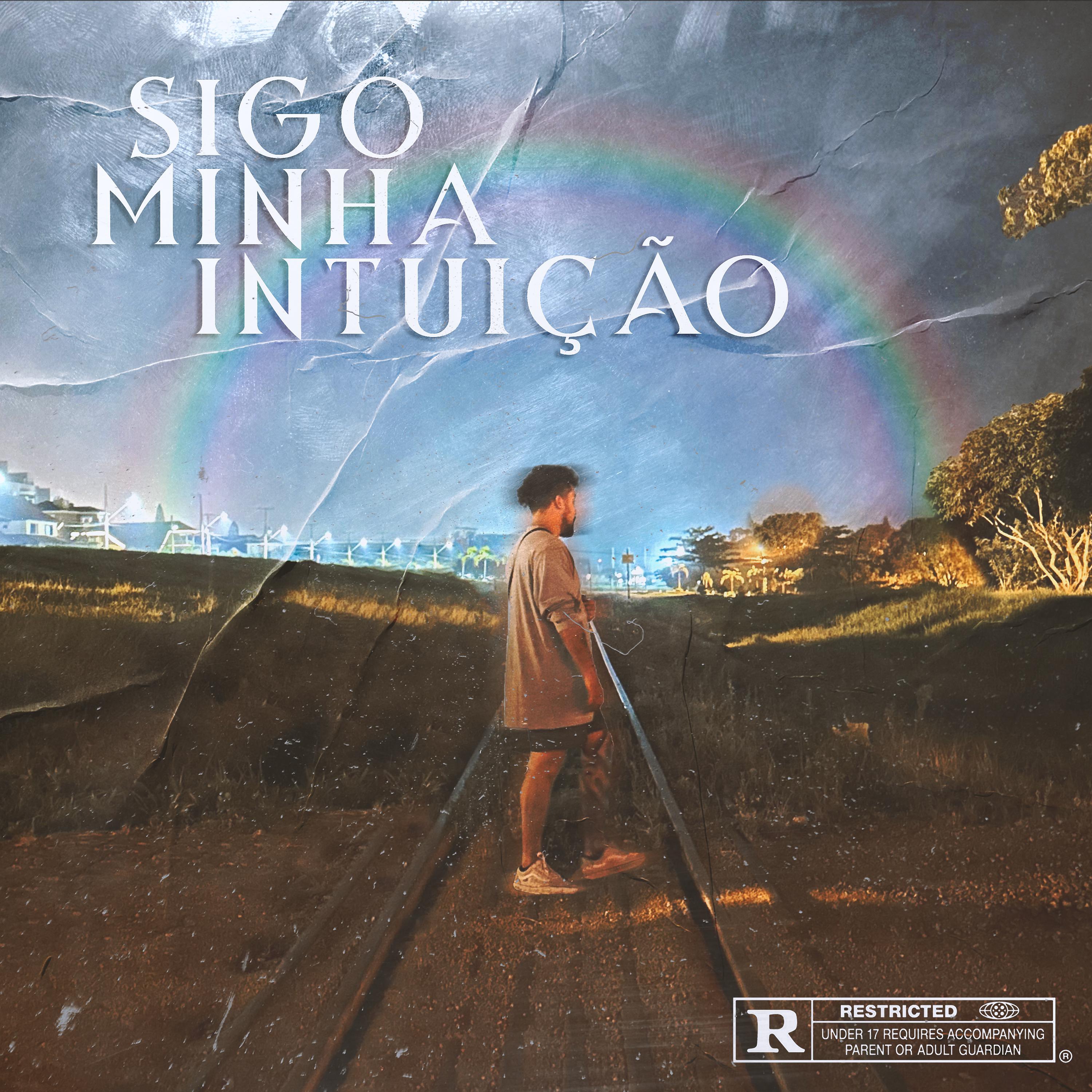 Постер альбома Sigo Minha Intuição