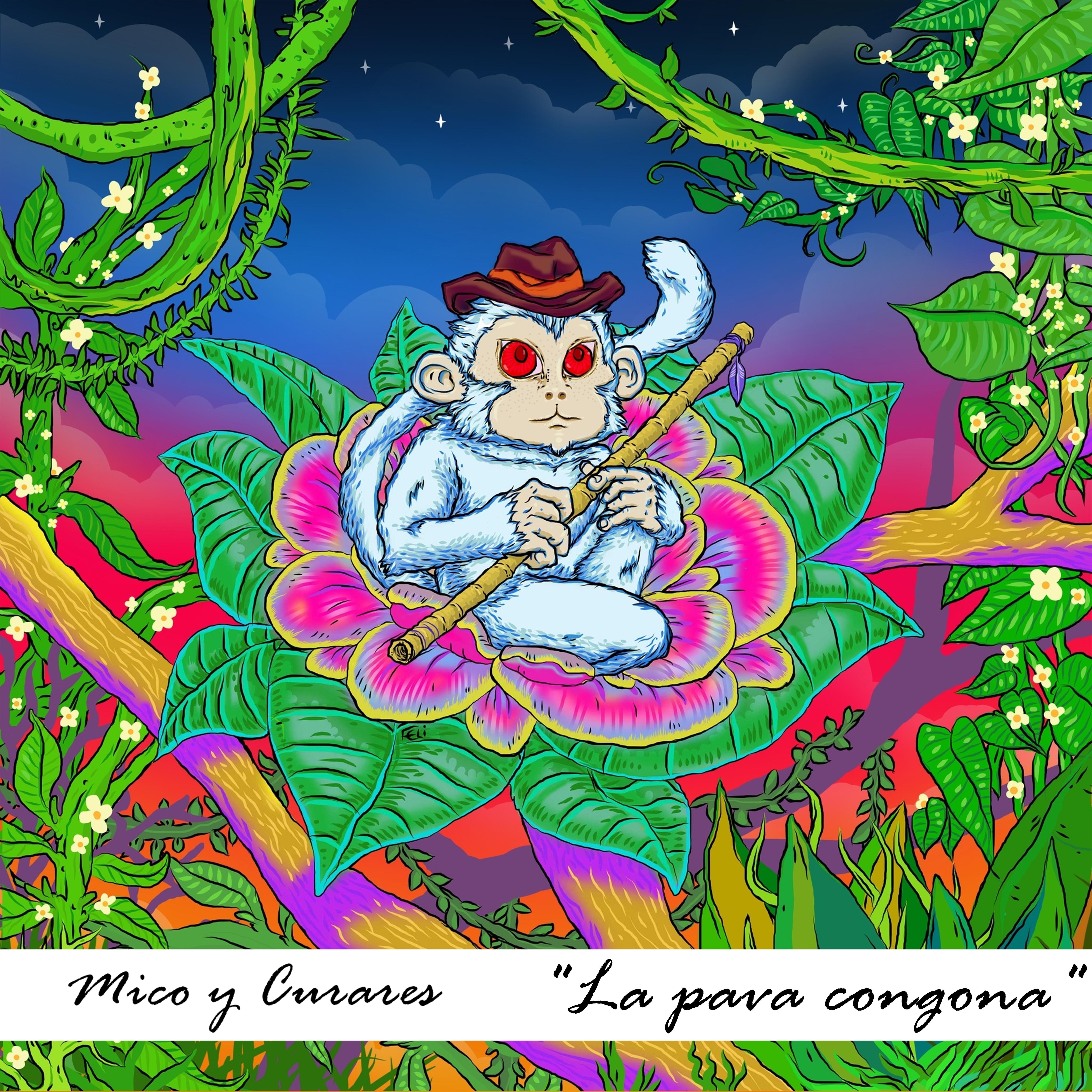 Постер альбома La Pava Congona