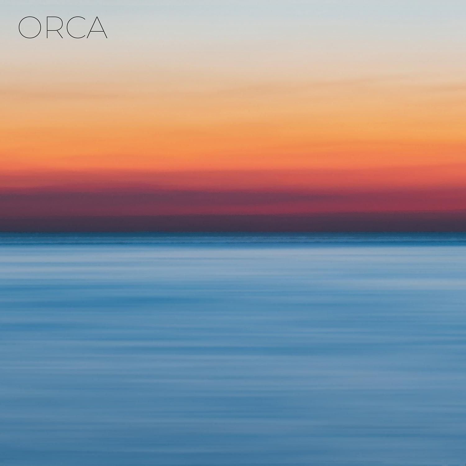 Постер альбома Orca