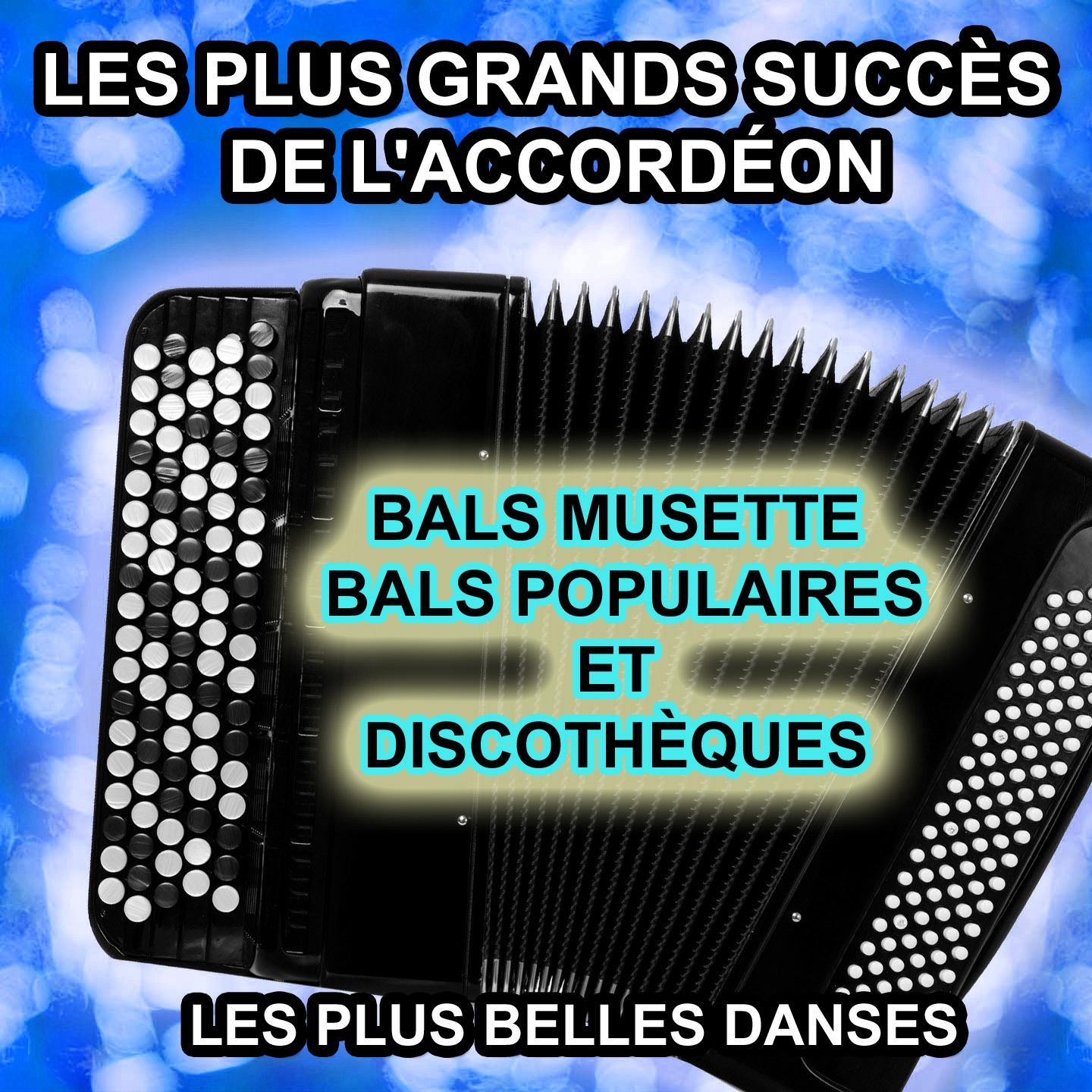 Постер альбома Les plus grands succès de l'accordéon