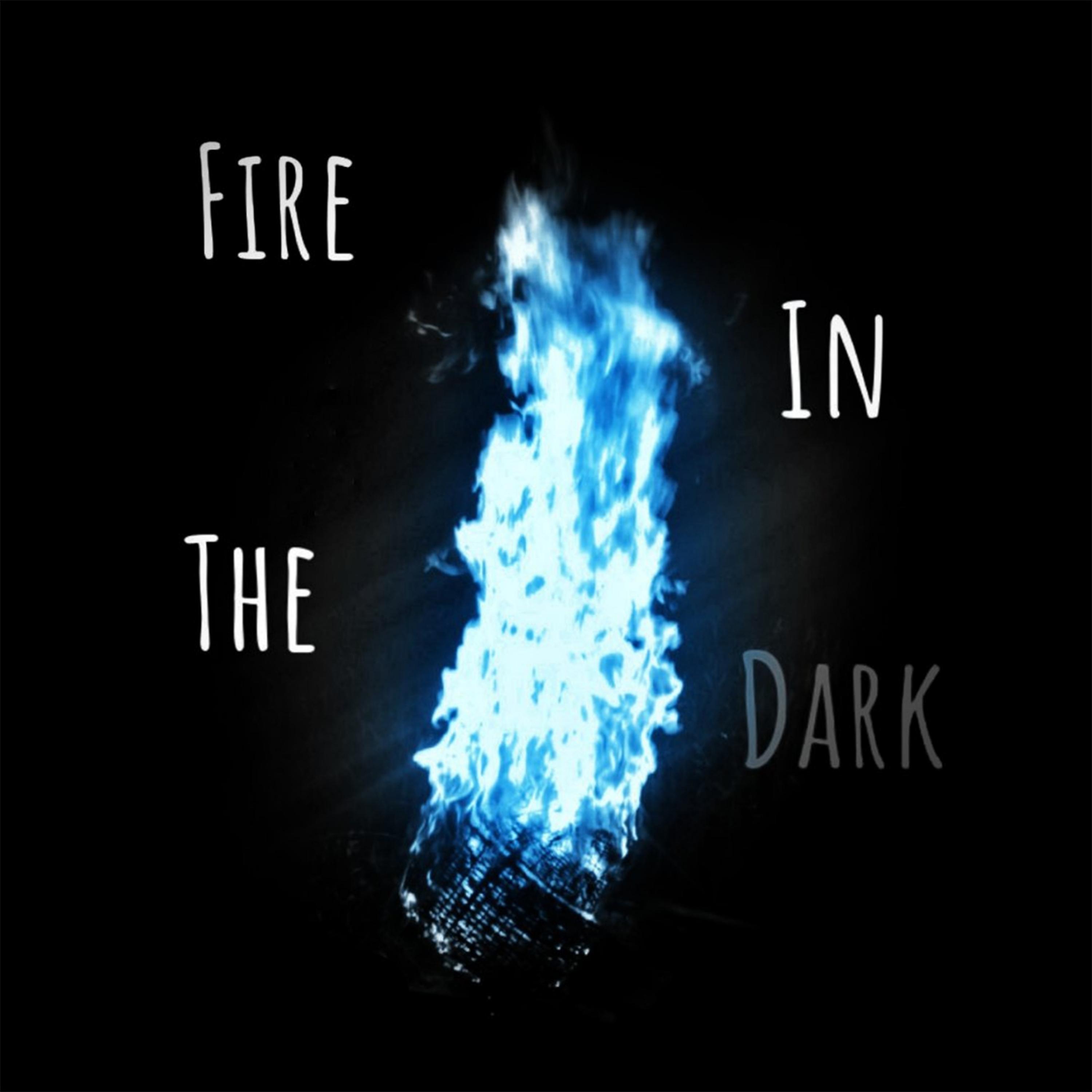 Постер альбома Fire in the Dark
