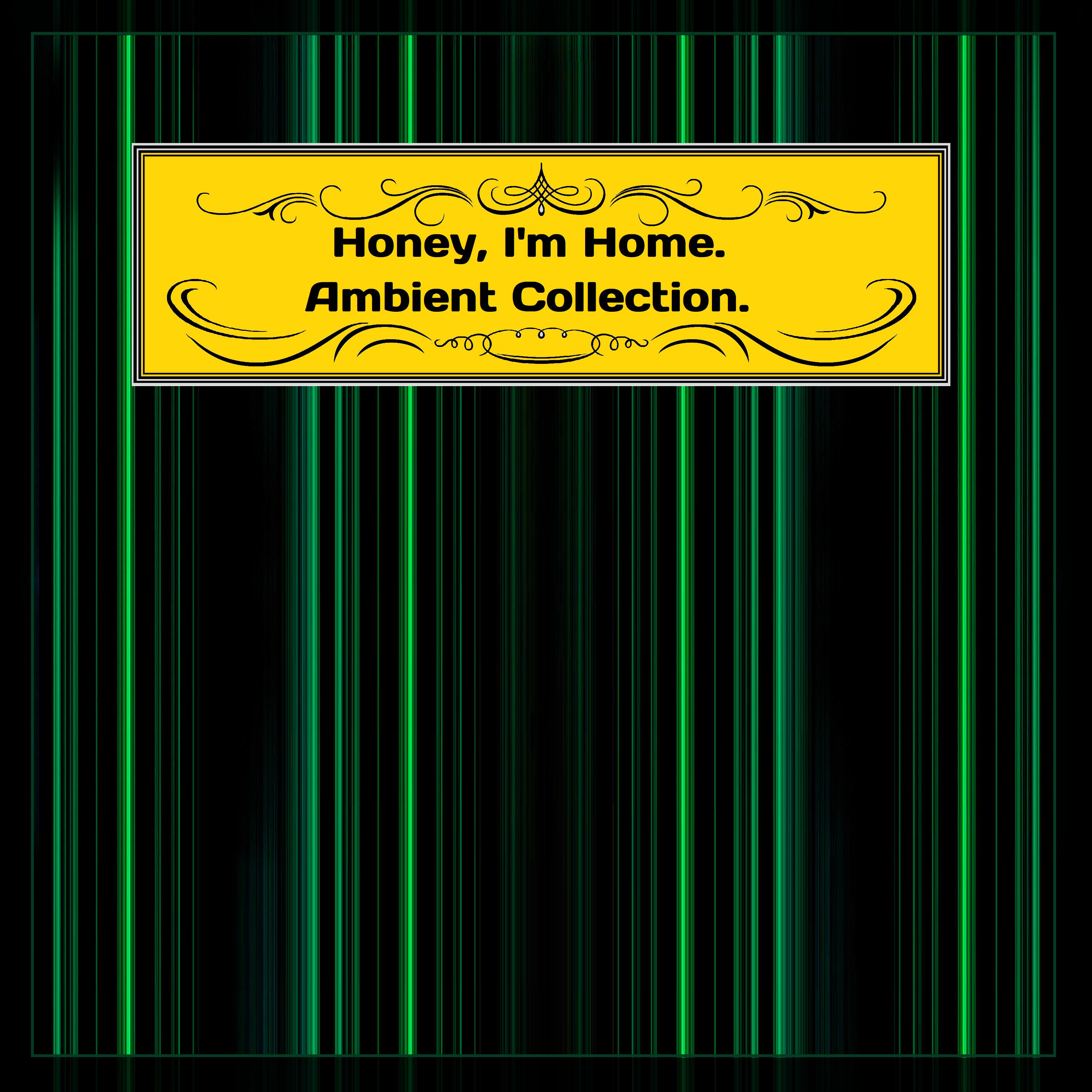 Постер альбома Honey, I'm Home. Ambient Collection.