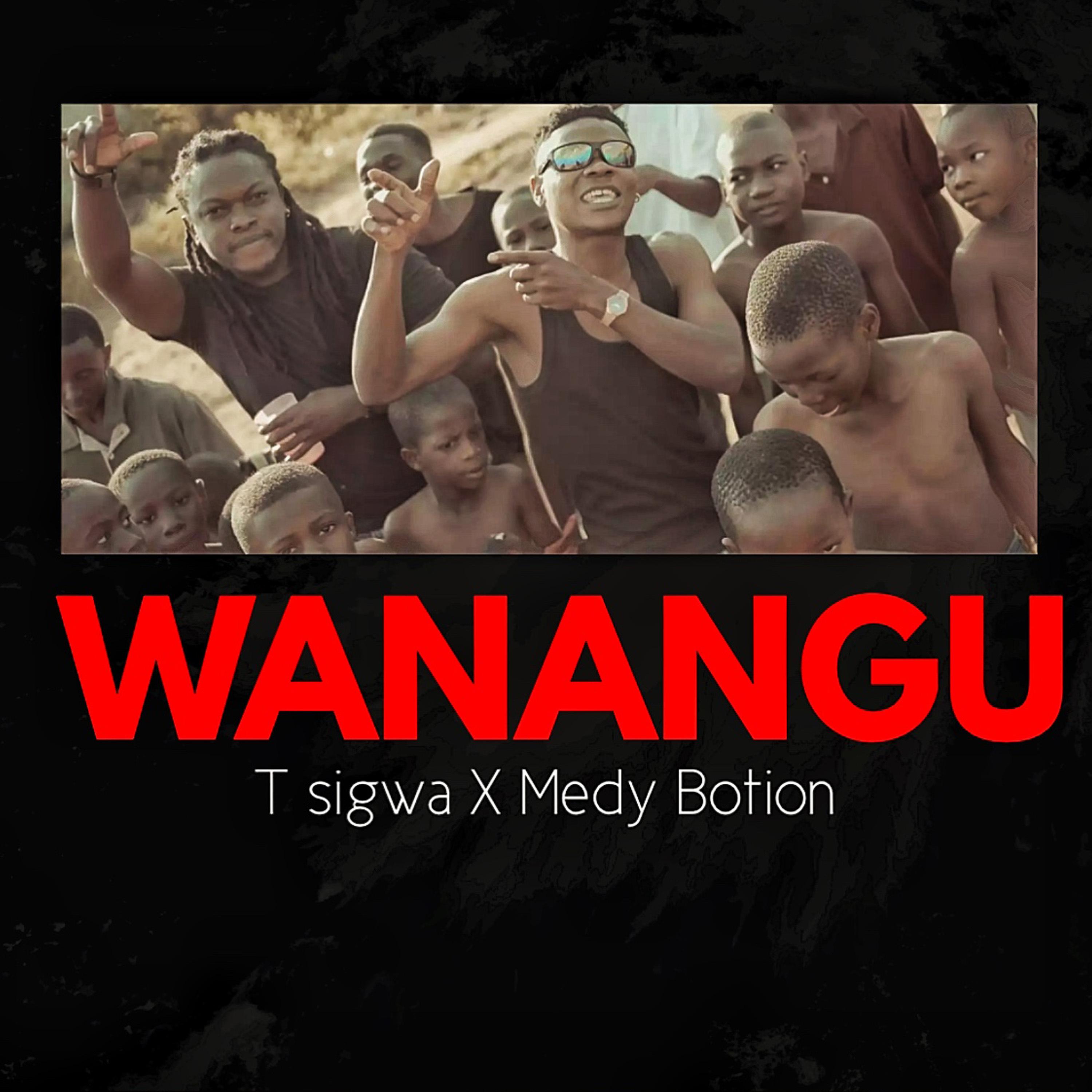 Постер альбома Wanangu