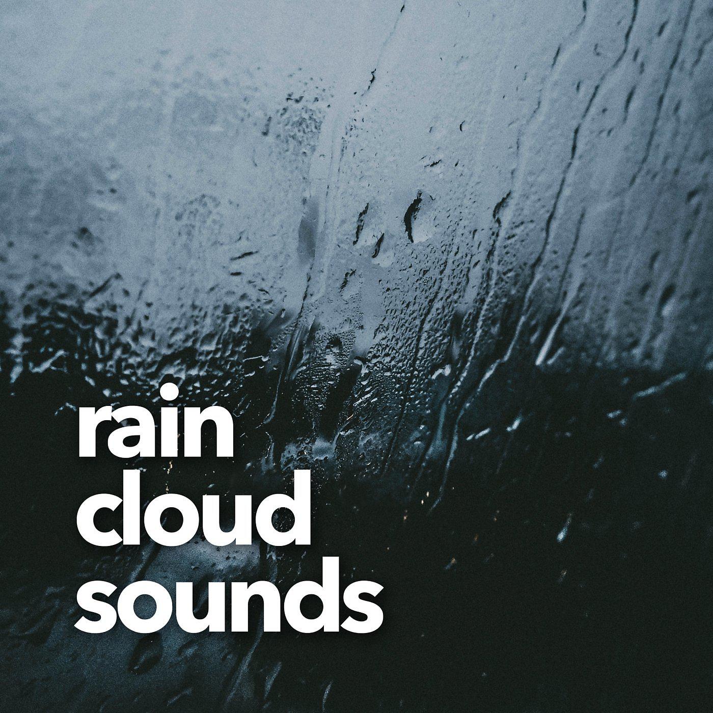 Постер альбома Rain Cloud Sounds