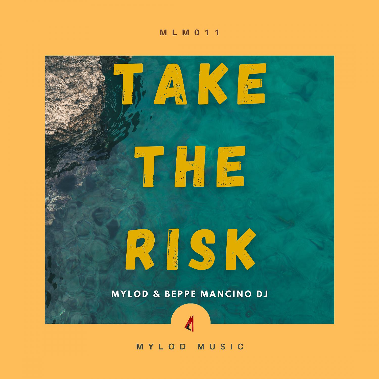 Постер альбома Take The Risk