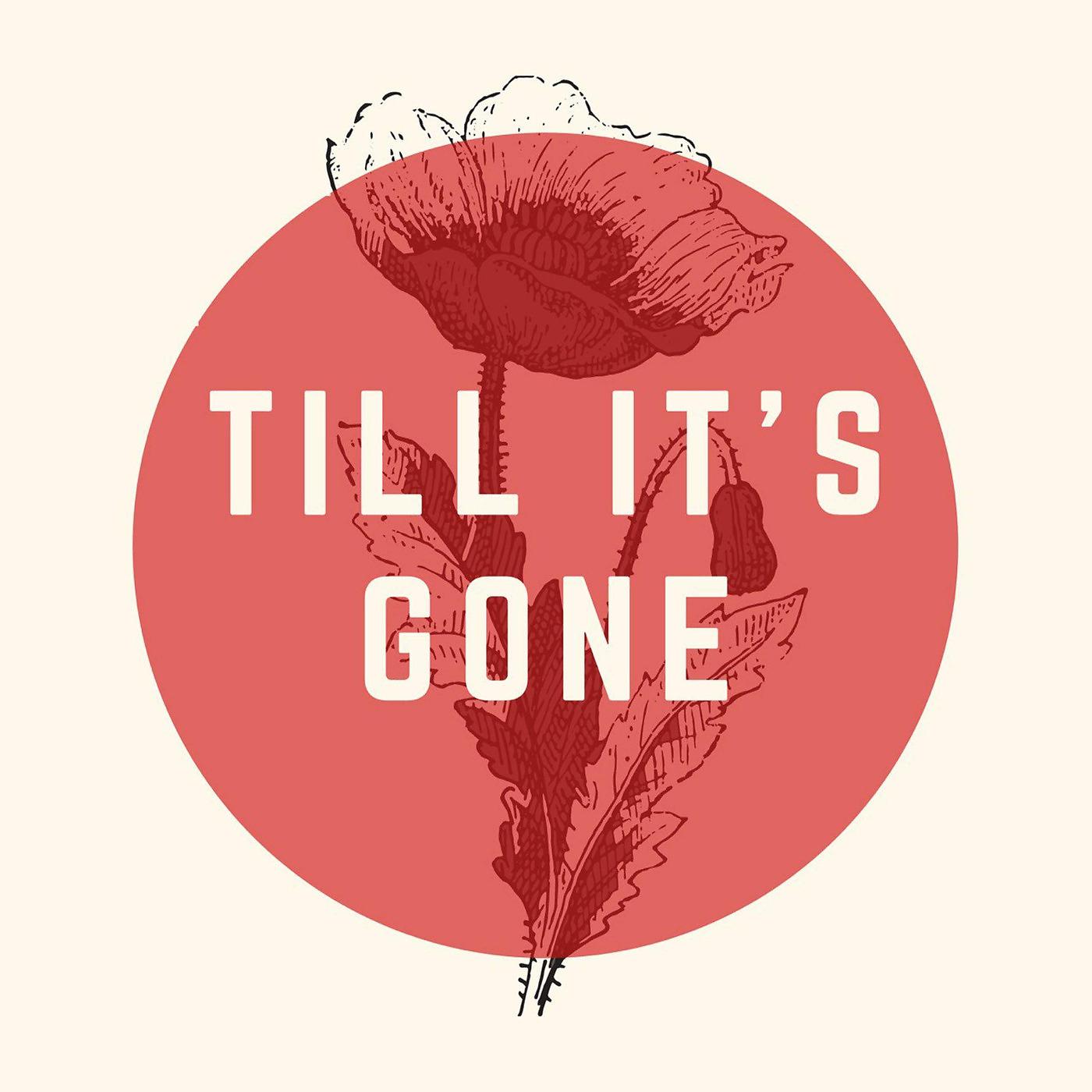 Постер альбома Till It's Gone