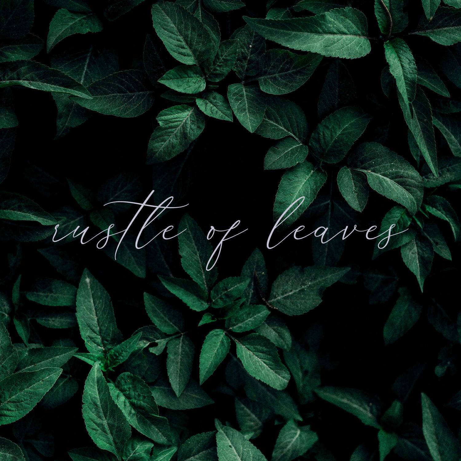 Постер альбома rustle of leaves