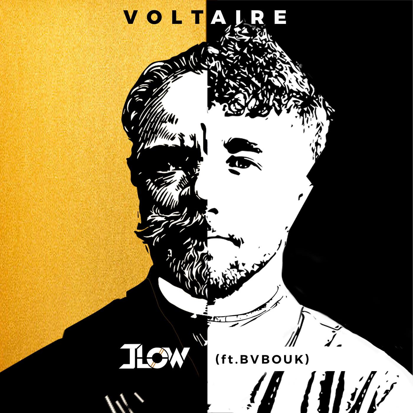 Постер альбома Voltaire