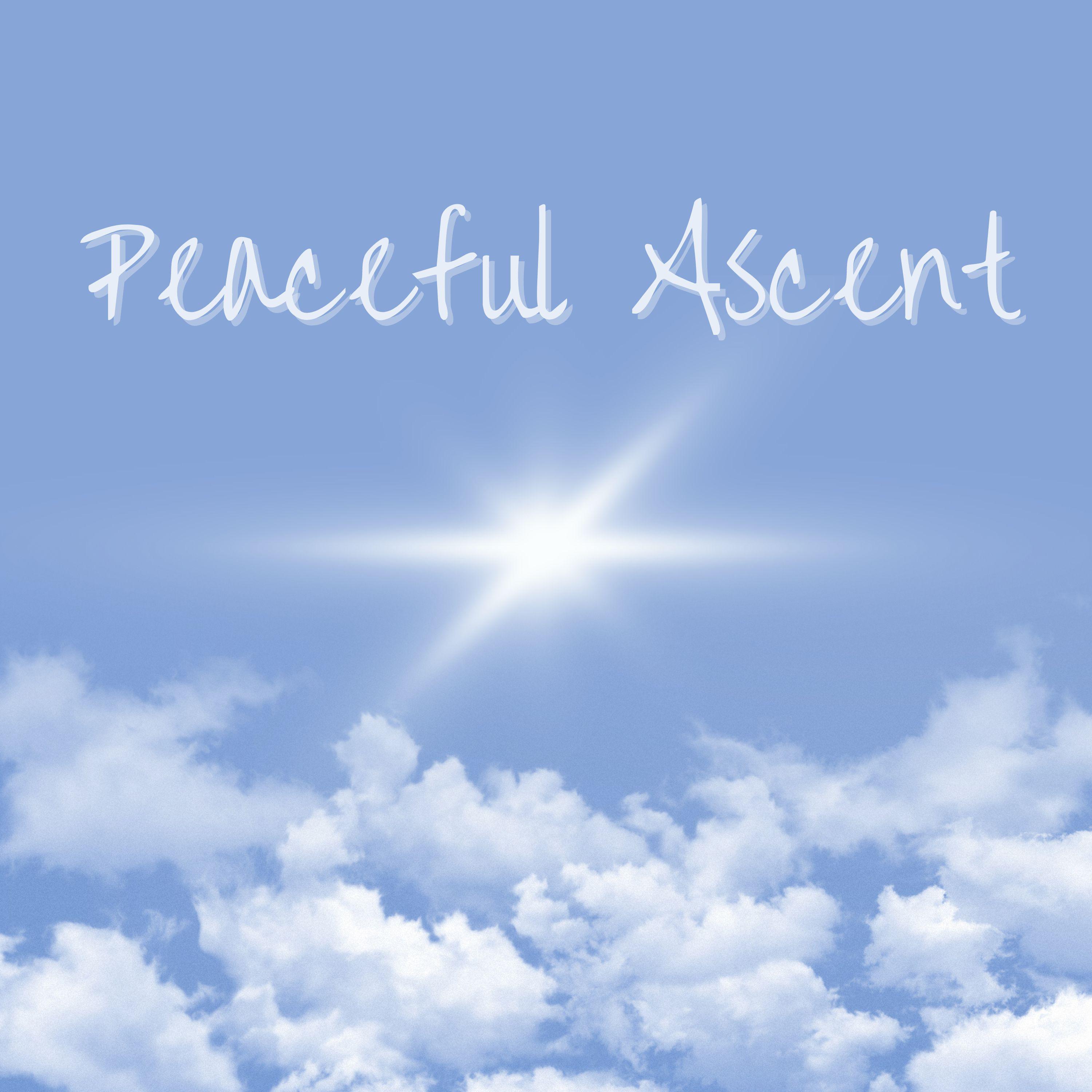 Постер альбома Peaceful Ascent