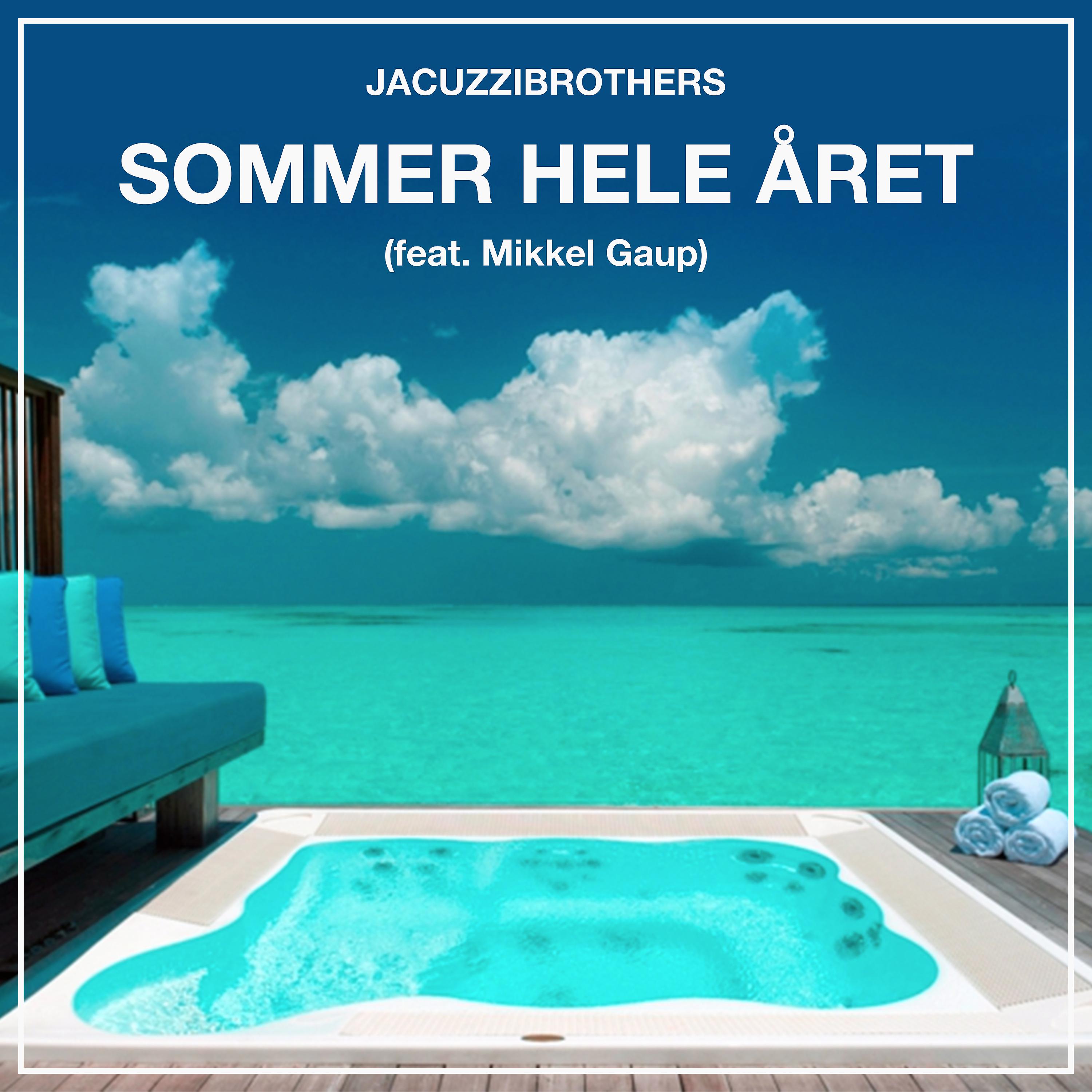 Постер альбома Sommer Hele Året