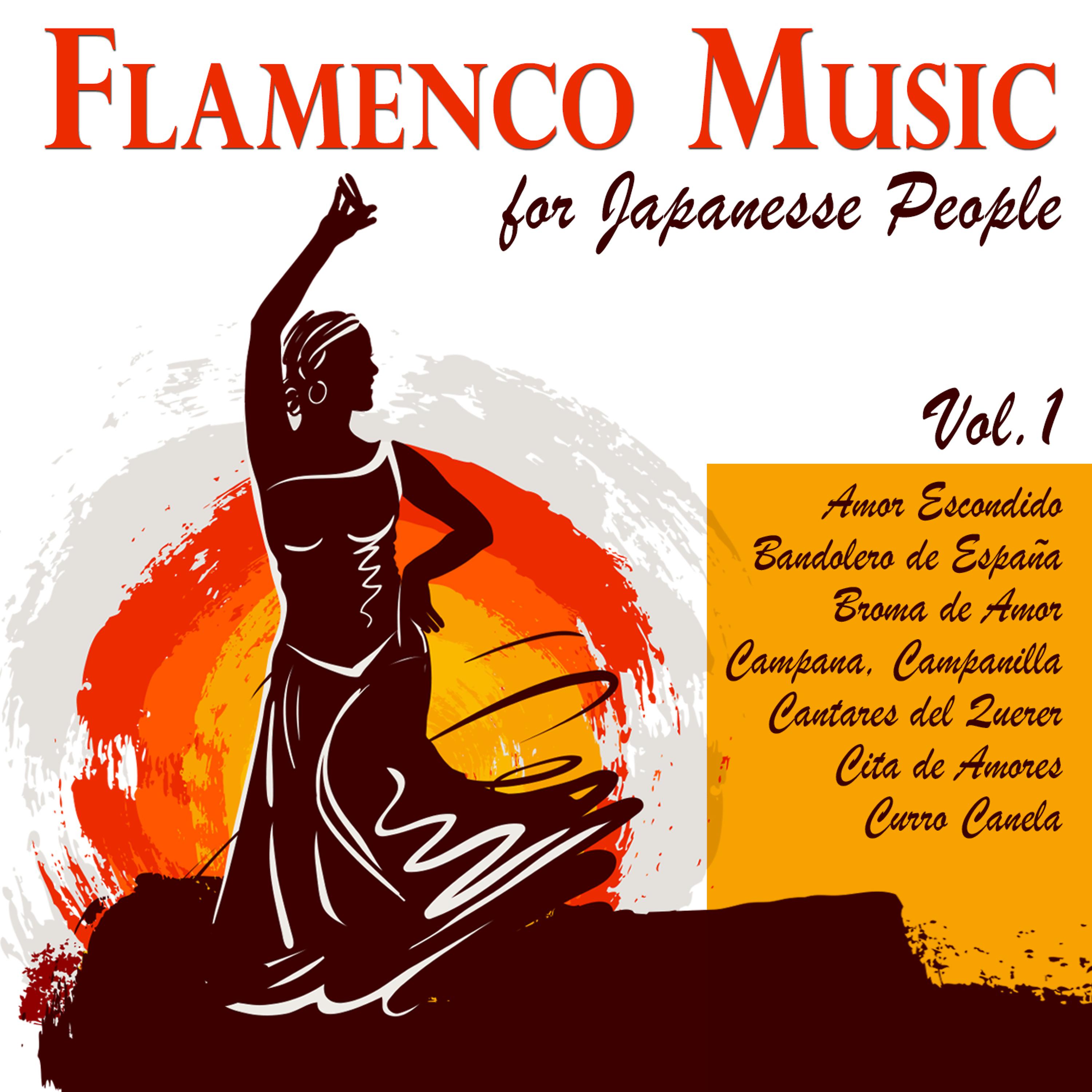 Постер альбома Flamenco Music for Japanese People Vol. 1