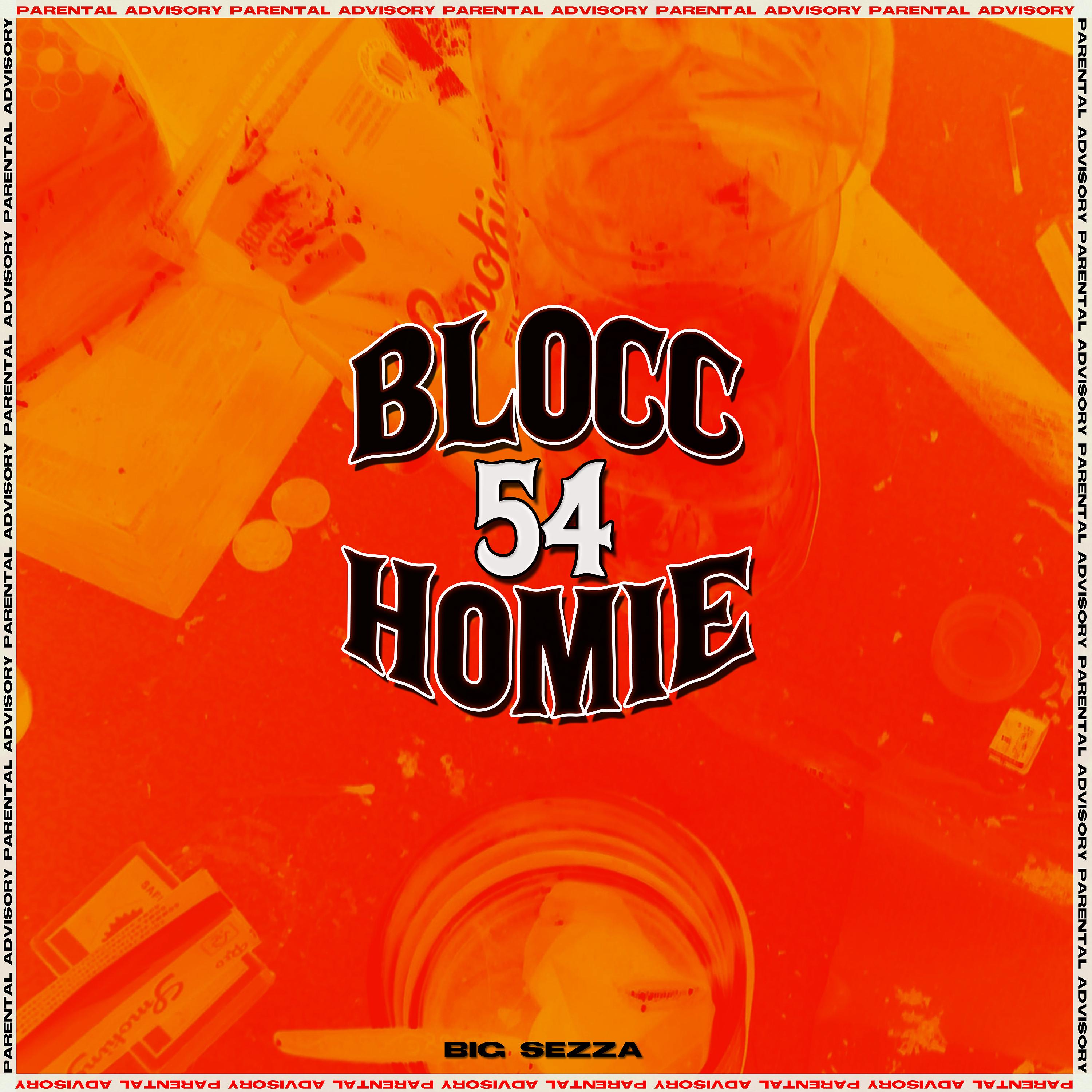 Постер альбома Blocc 54 Homie