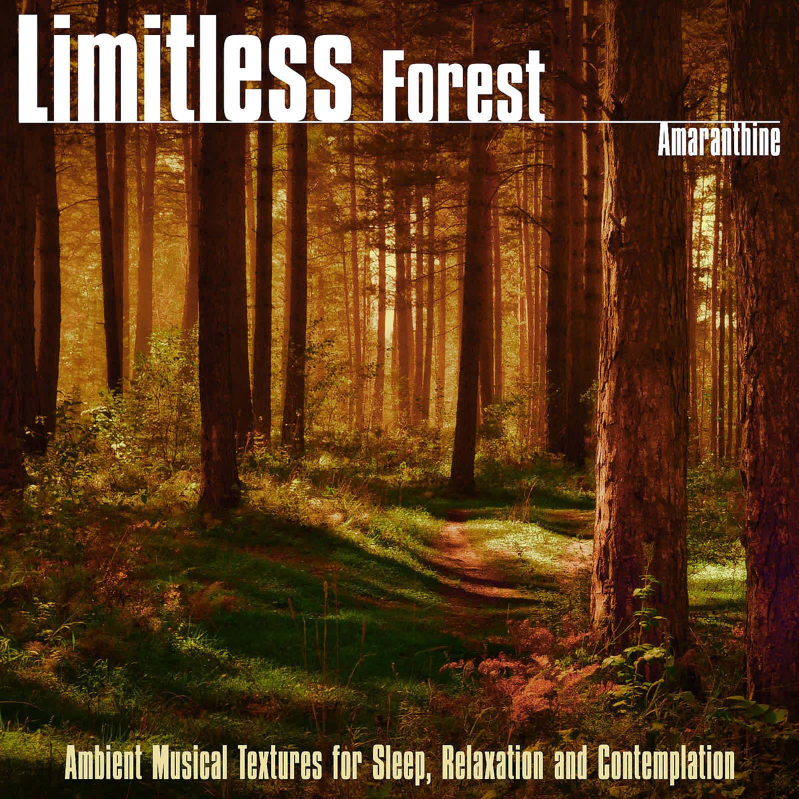 Постер альбома Limitless Forest (Ambient Musical Textures for Sleep, Relaxation and Contemplation)