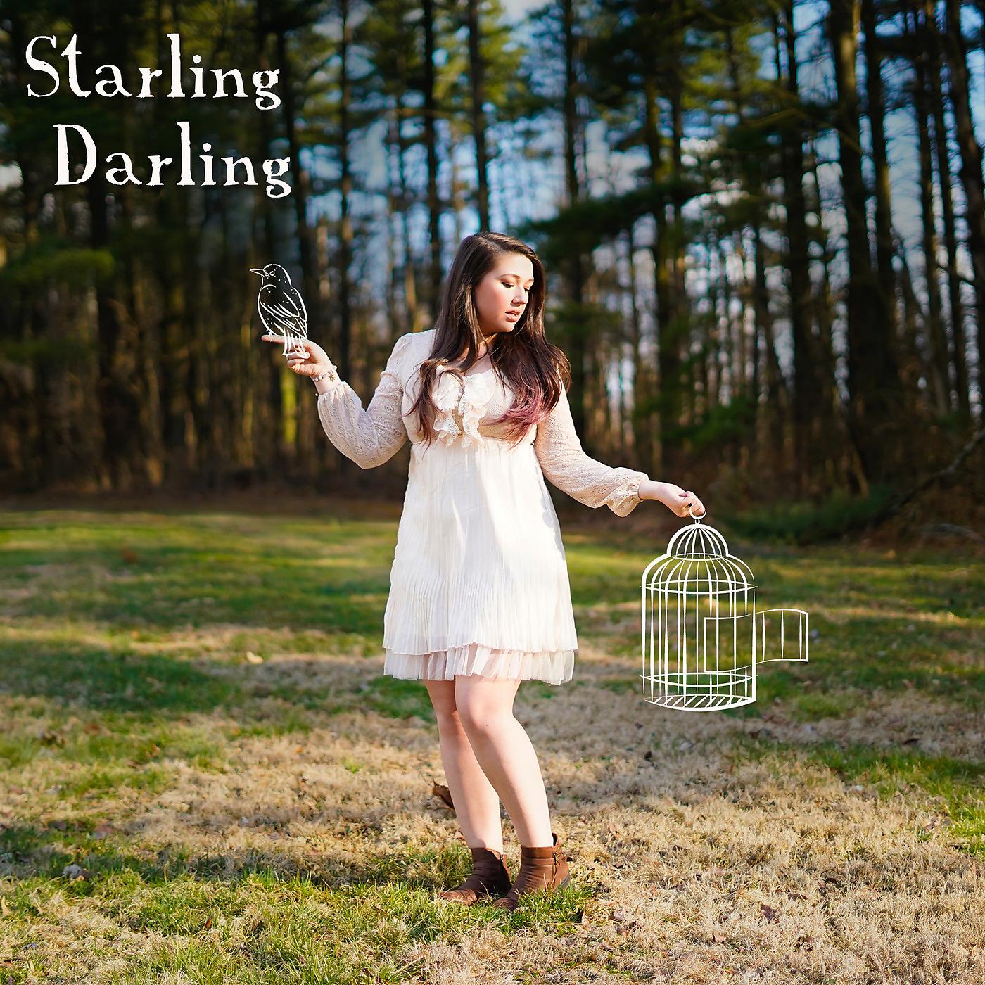 Постер альбома Starling Darling