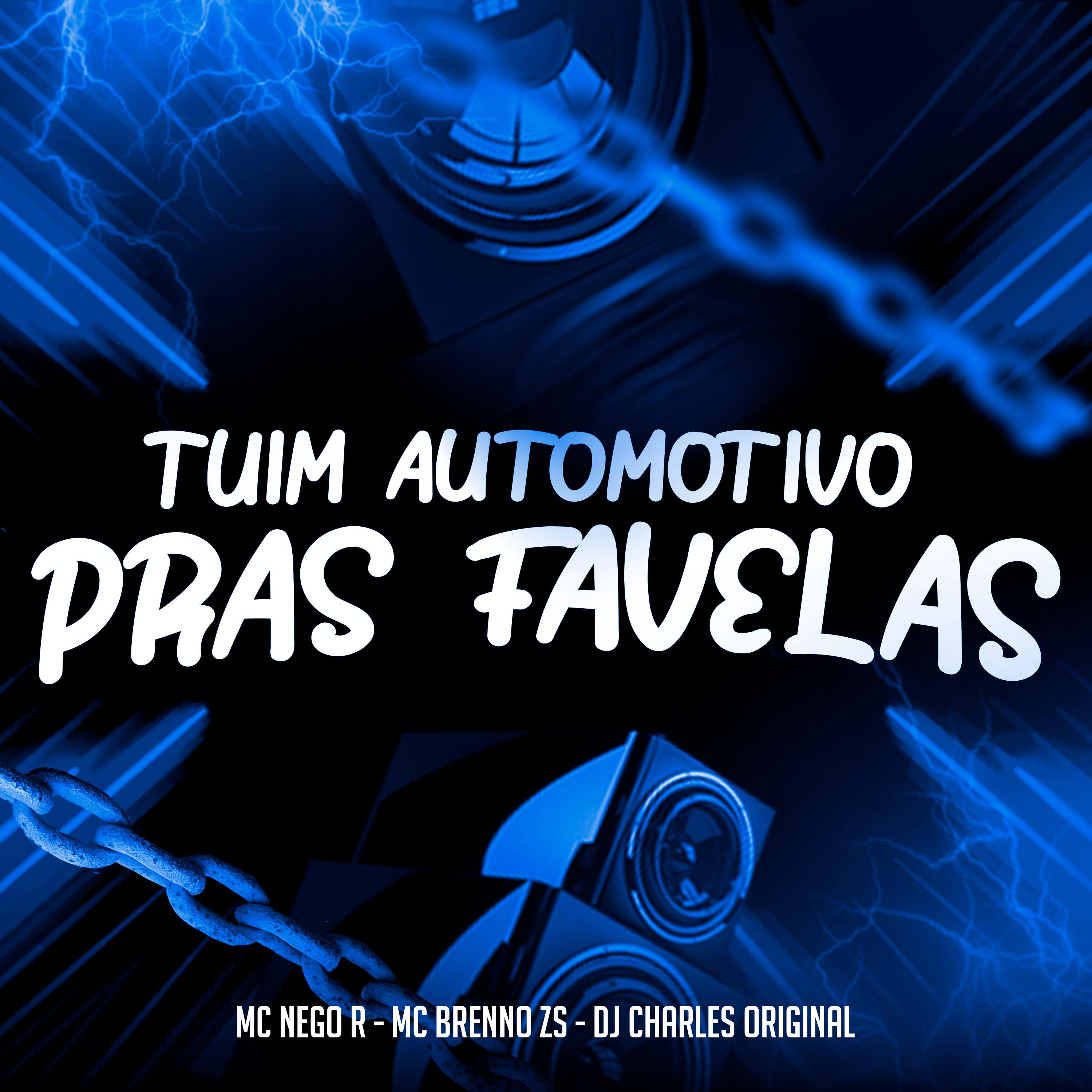 Постер альбома Tuim Automotivo Pras Favelas
