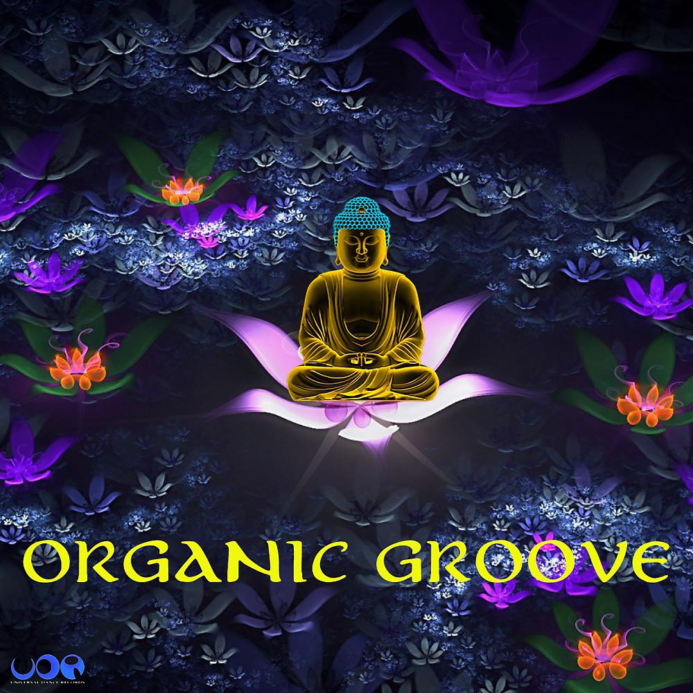 Постер альбома Organic Groove