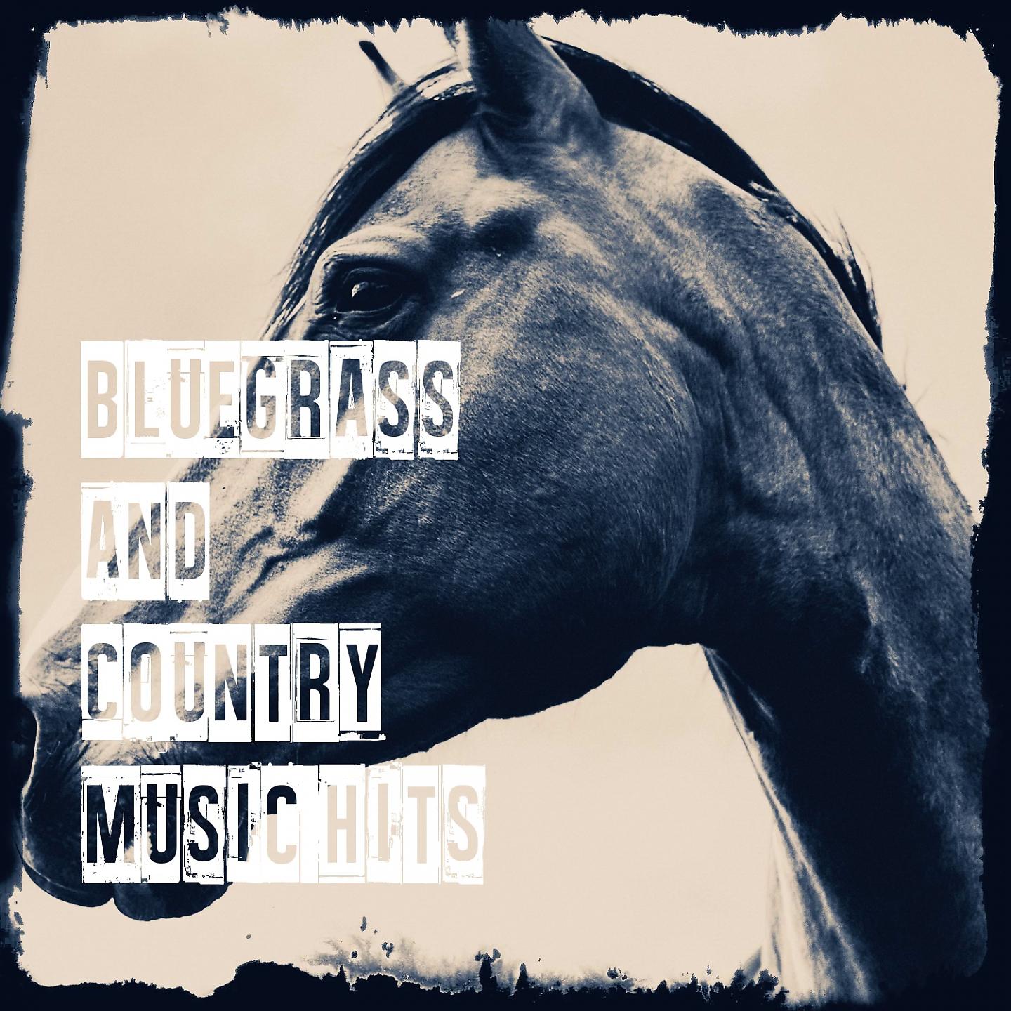 Постер альбома Bluegrass and Country Music Hits