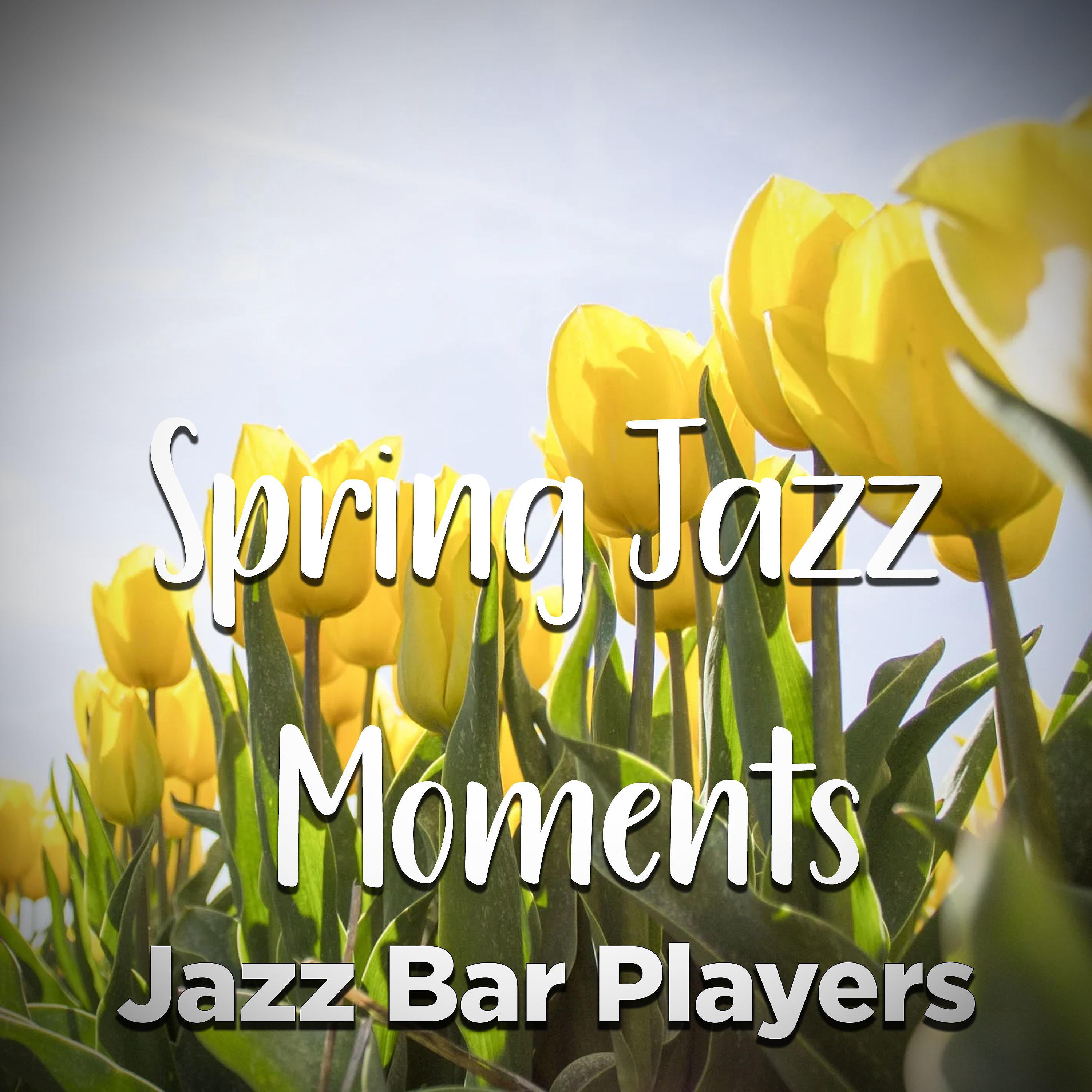 Постер альбома Spring Jazz Moments