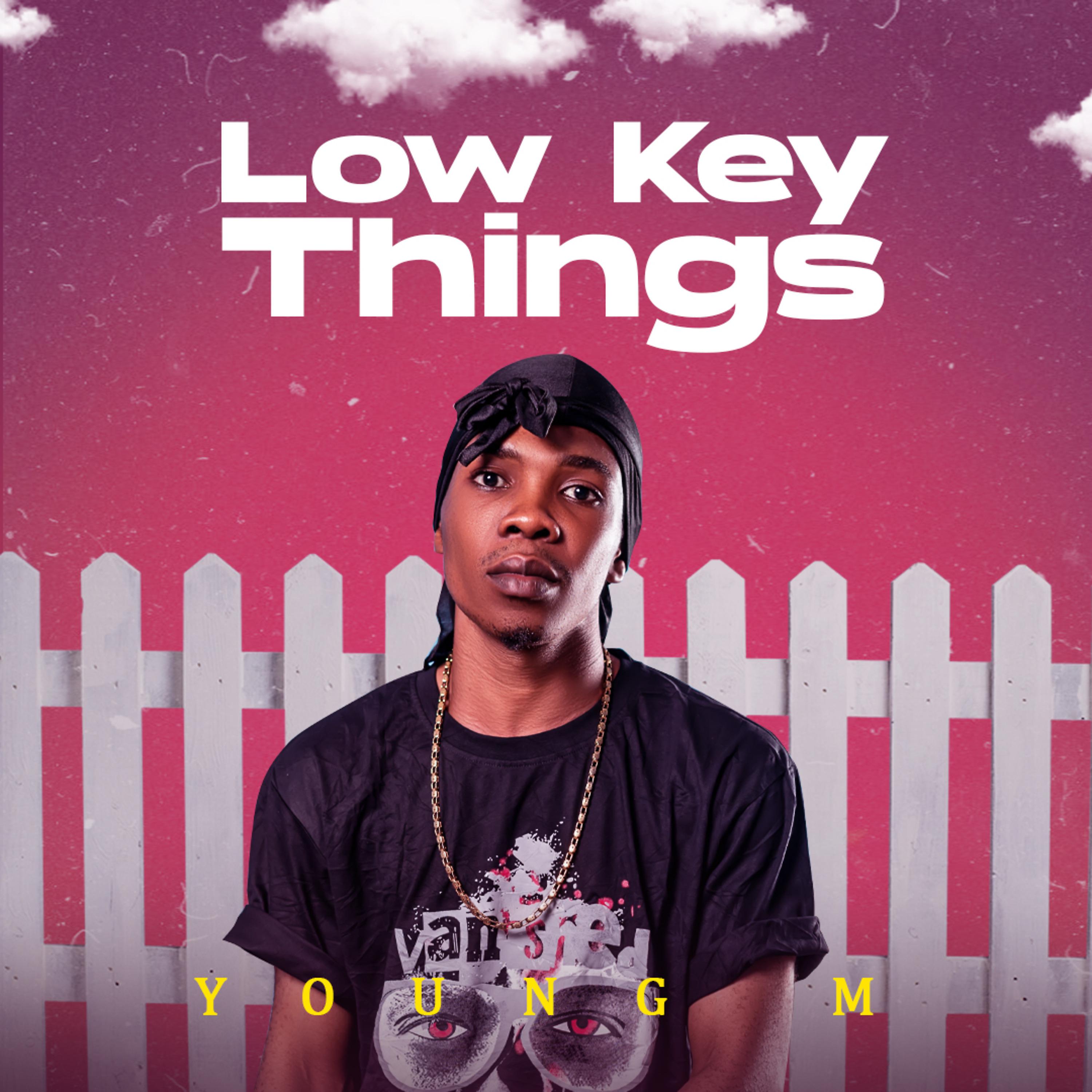 Постер альбома Low Key Things