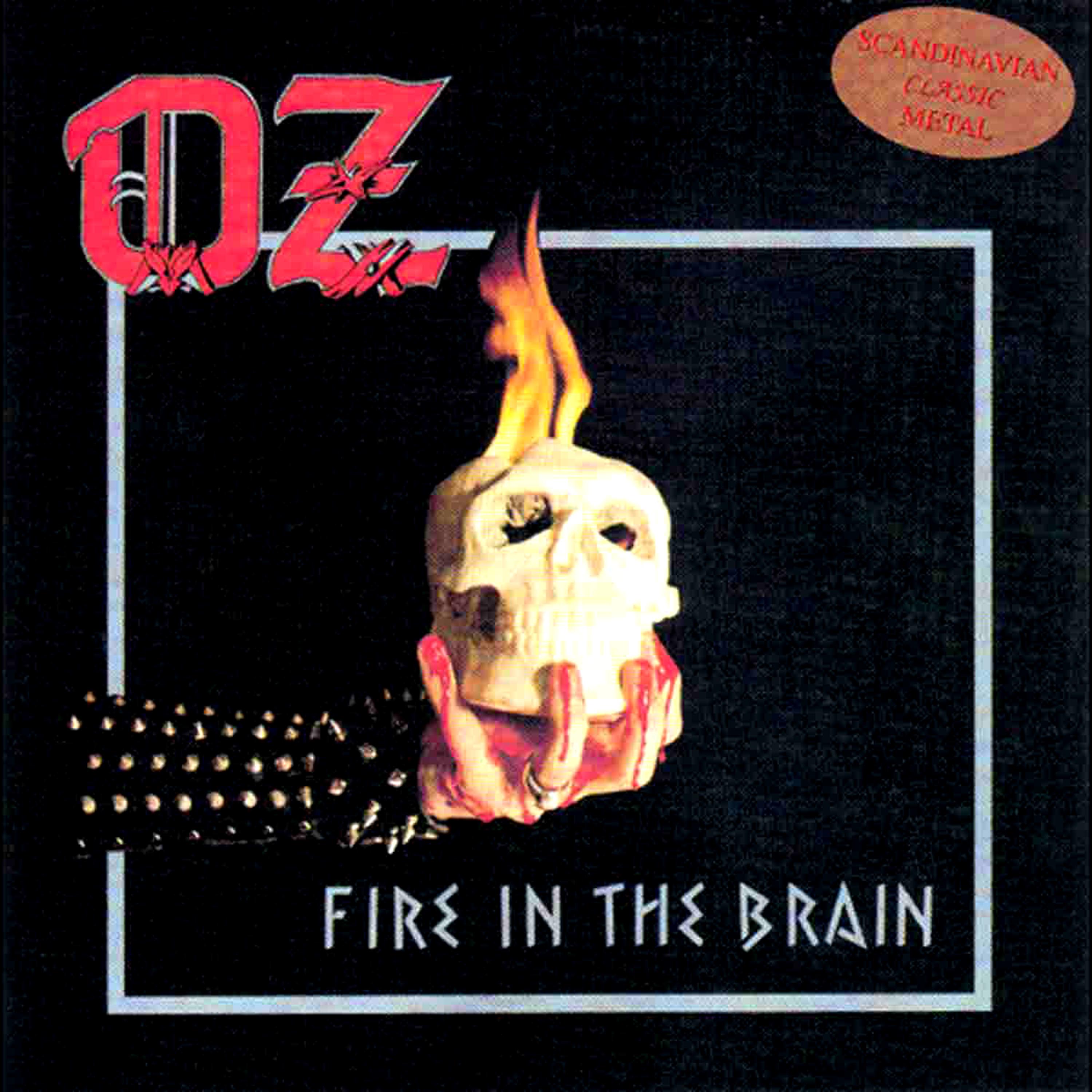 Постер альбома Fire in the Brain