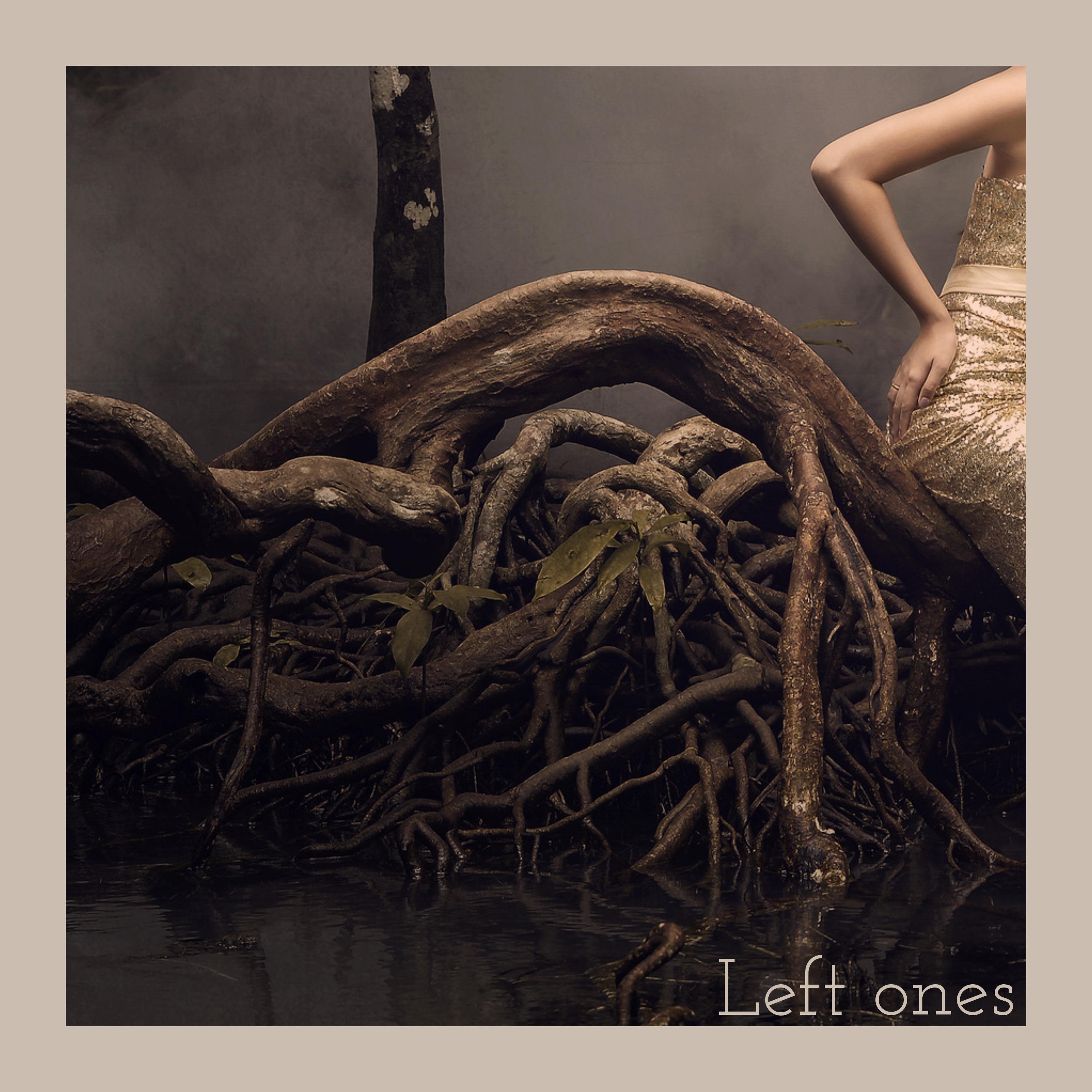 Постер альбома Left Ones
