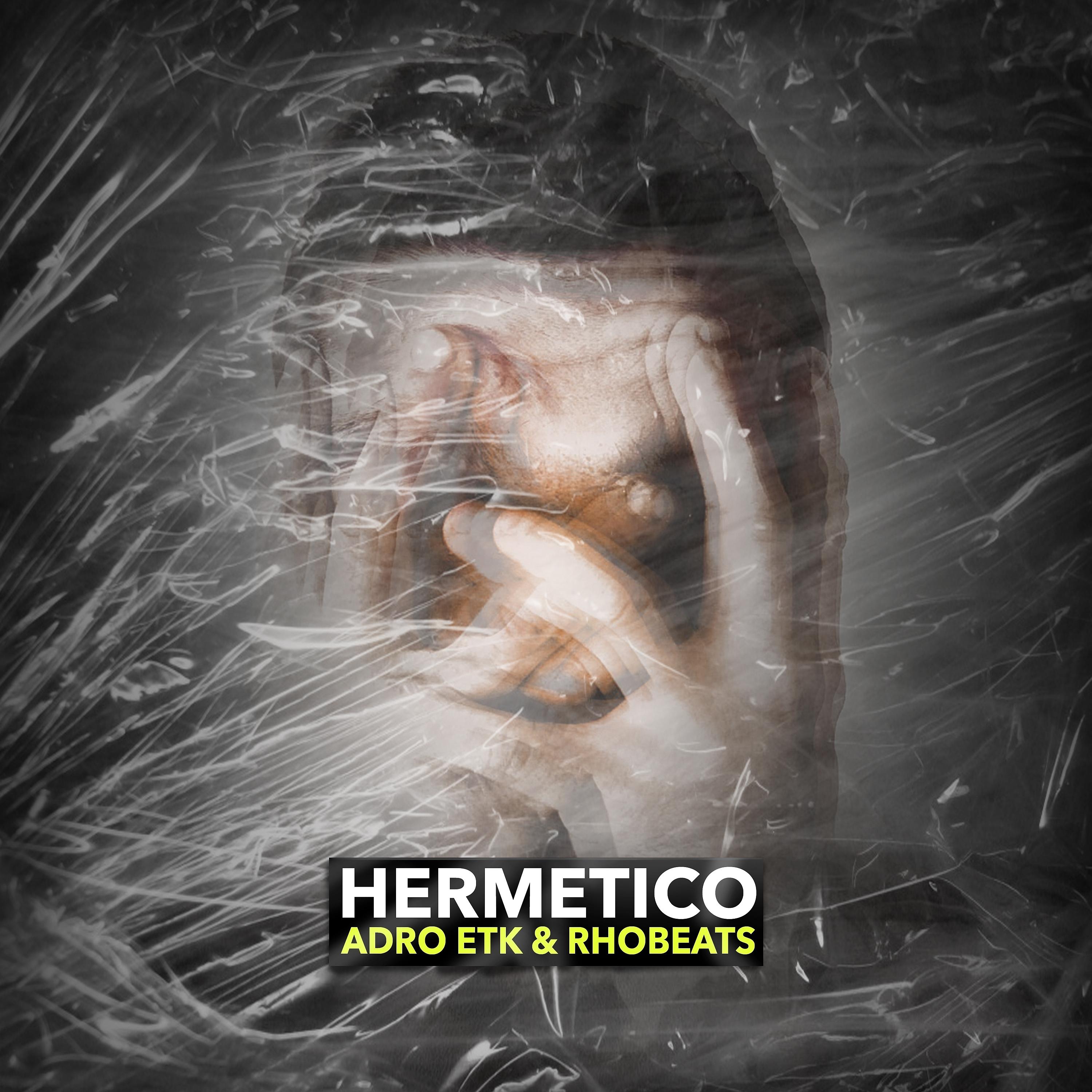 Постер альбома Hermético
