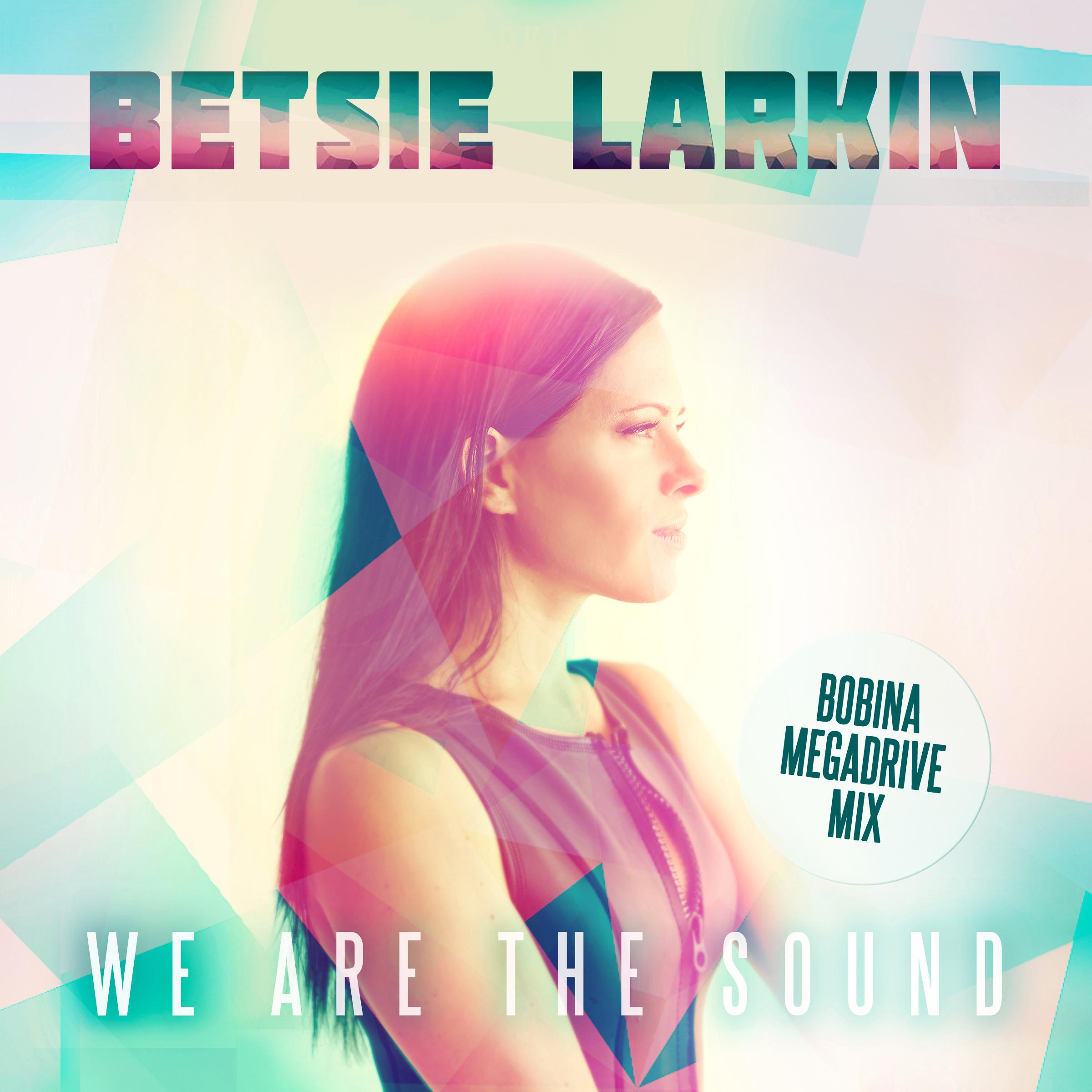 Постер альбома We Are the Sound (Bobina Megadrive Mix)