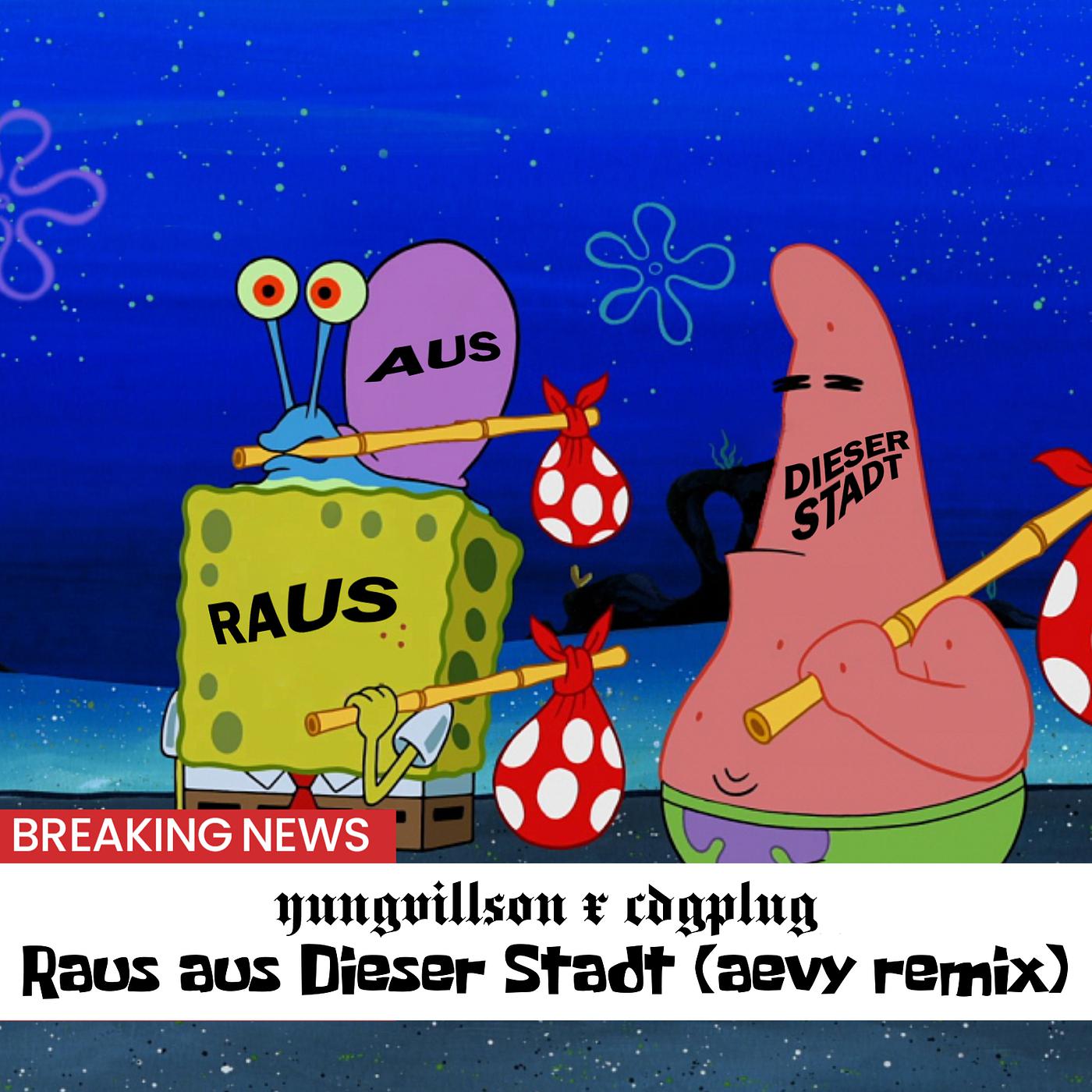 Постер альбома Raus Aus Dieser Stadt (Aevy Remix)