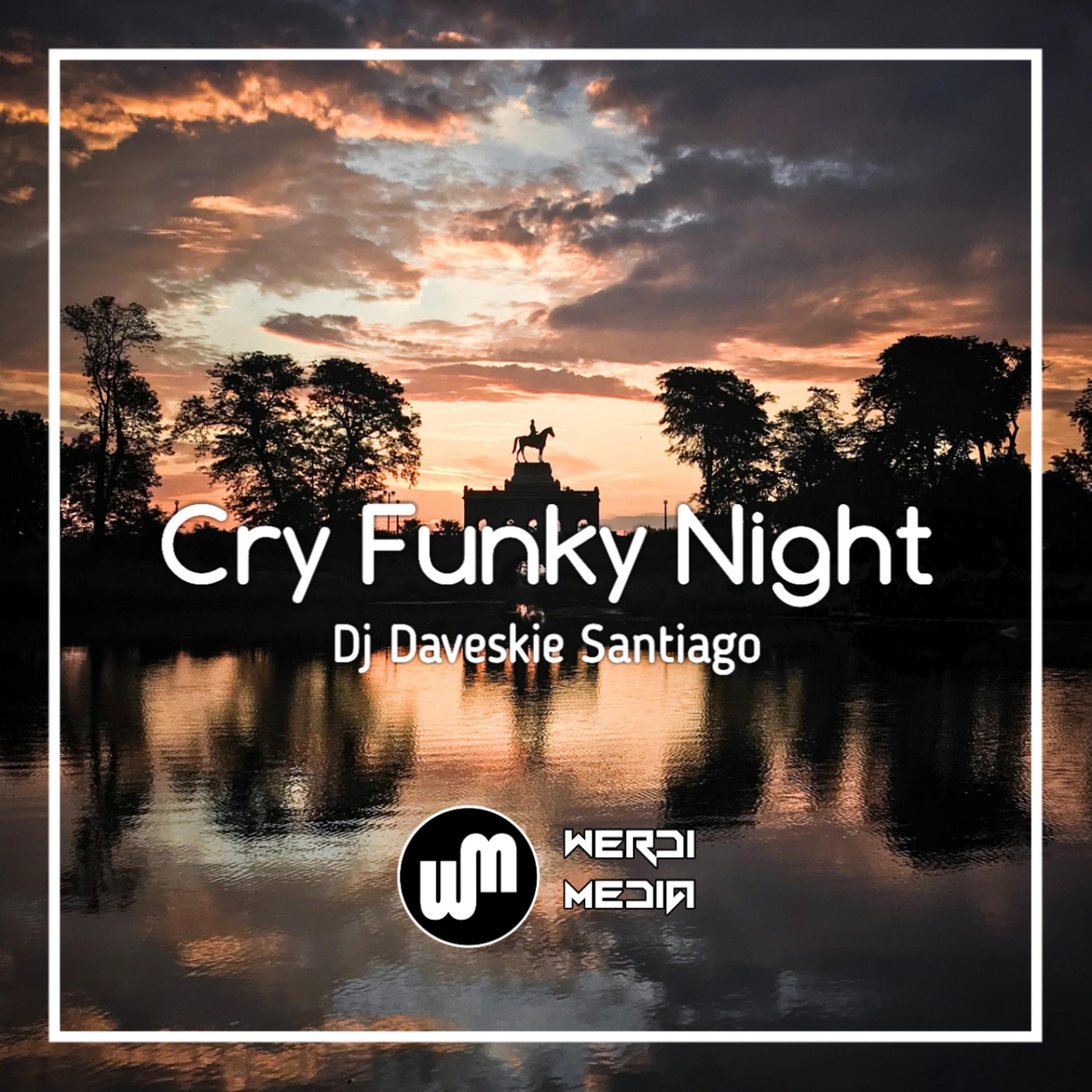 Постер альбома Cry Funky Night