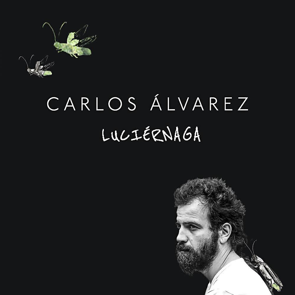 Постер альбома Luciérnaga