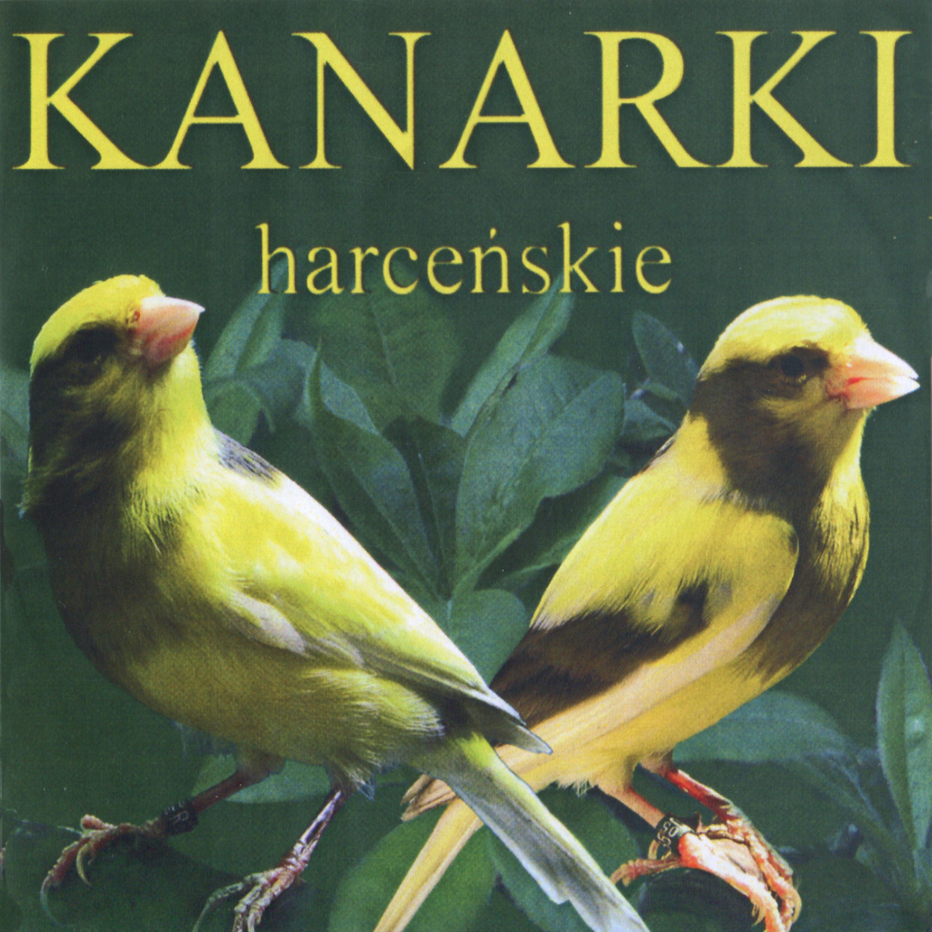 Постер альбома Natural sounds and songs of canaries