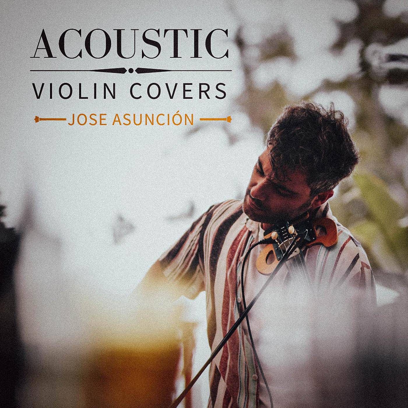 Постер альбома Acoustic Violin Covers