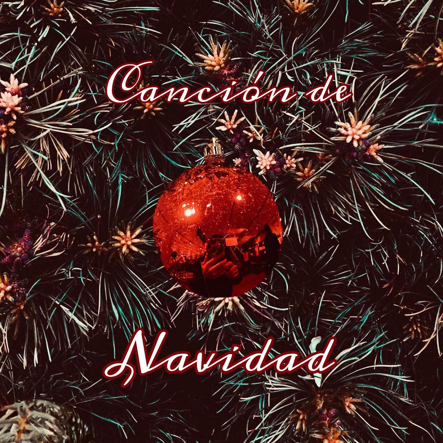 Постер альбома Canción De Navidad