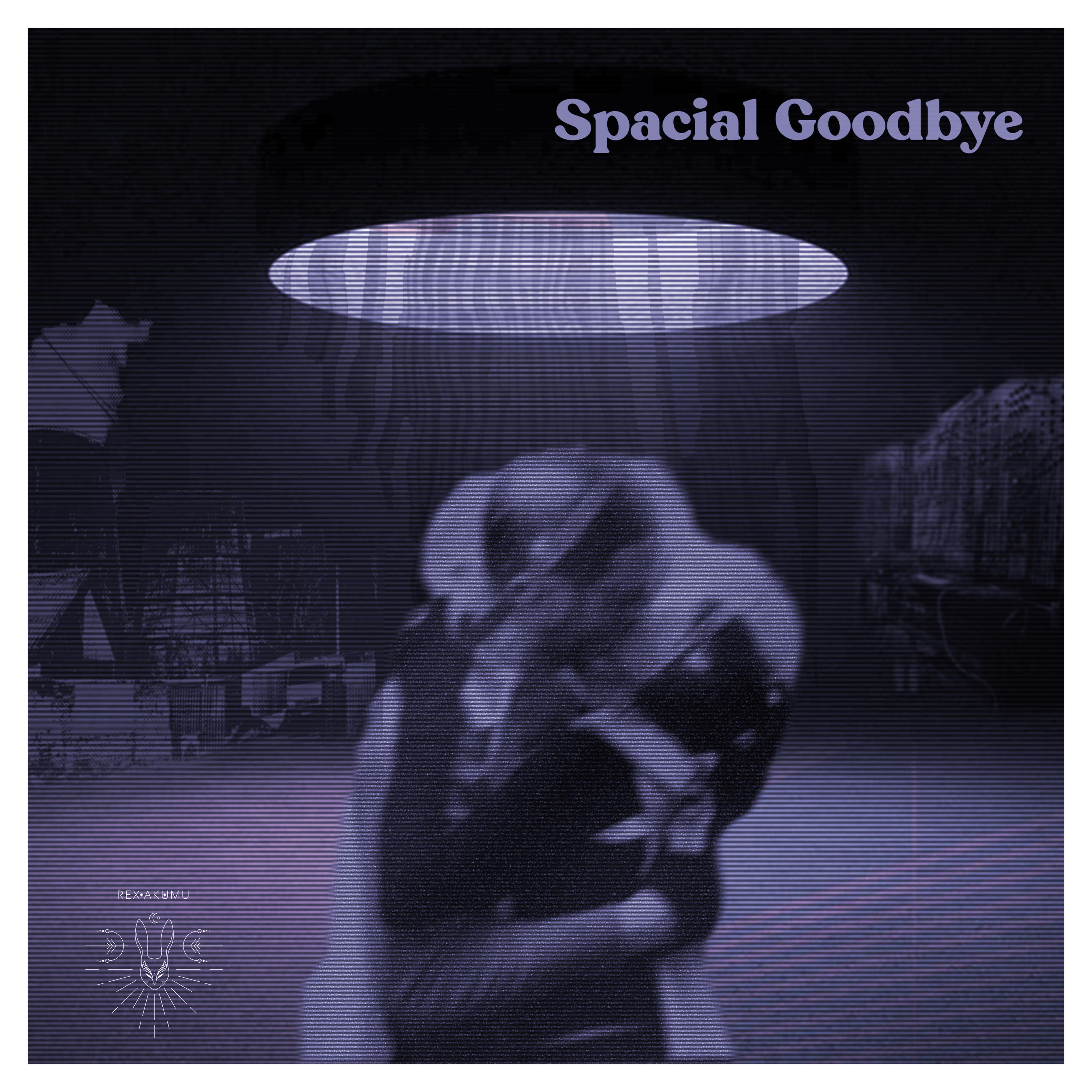 Постер альбома Spacial Goodbye