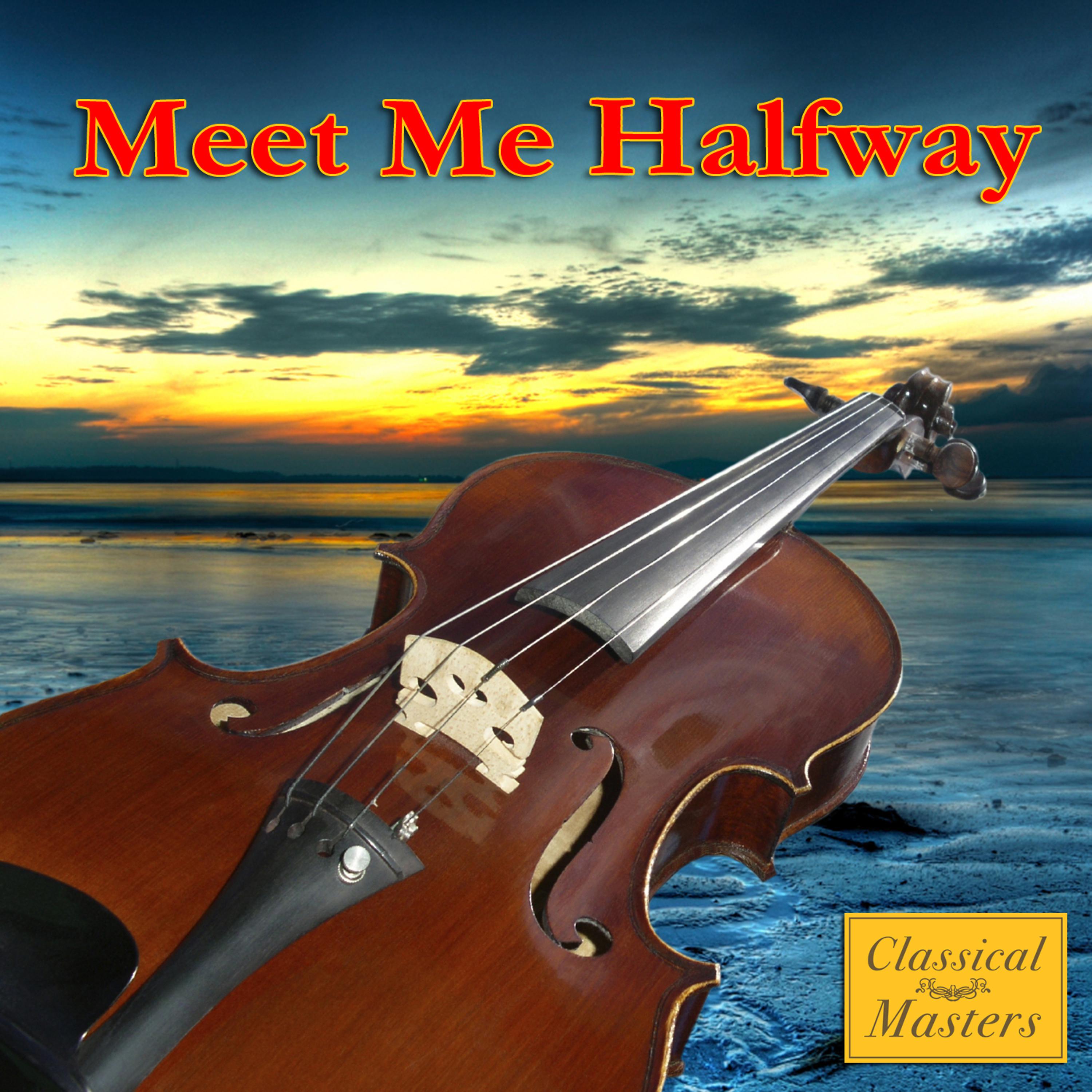 Постер альбома Meet Me Halfway - Symphonic Version (Made Famous by Black Eyed Peas)