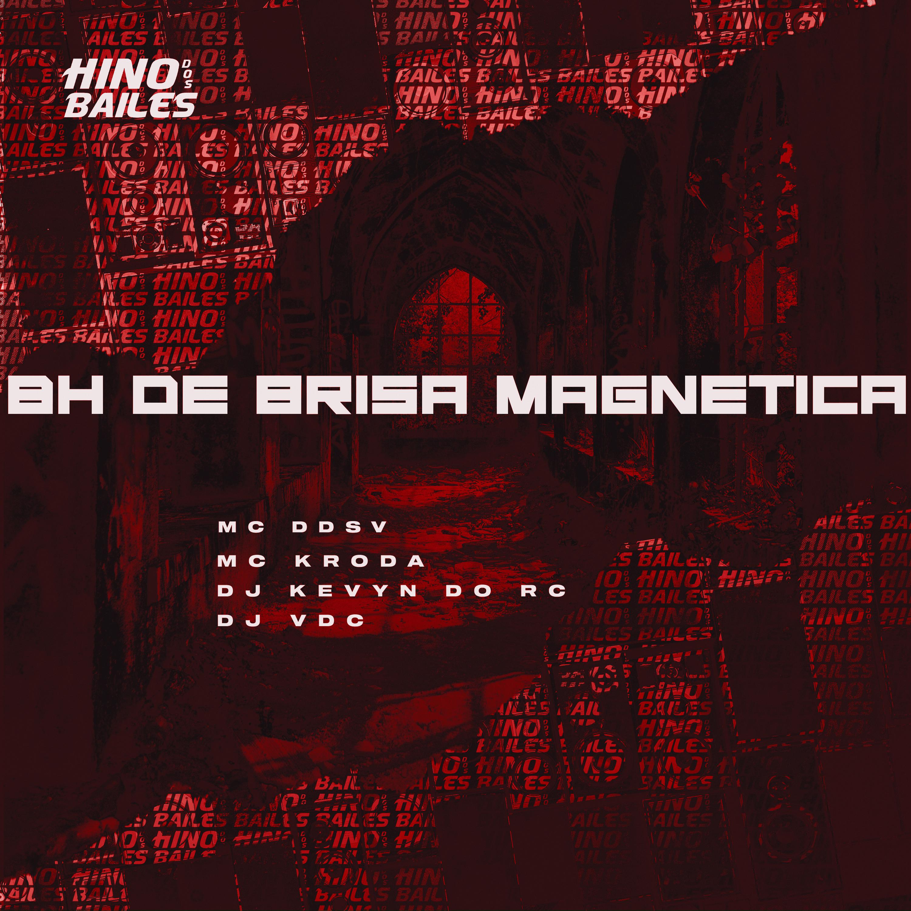 Постер альбома 8H de Brisa Magnetica