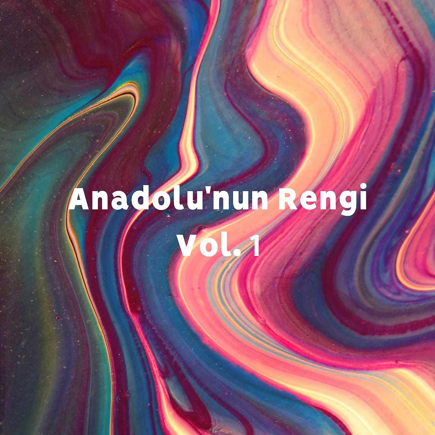 Постер альбома Anadolu'nun Rengi, Vol.1