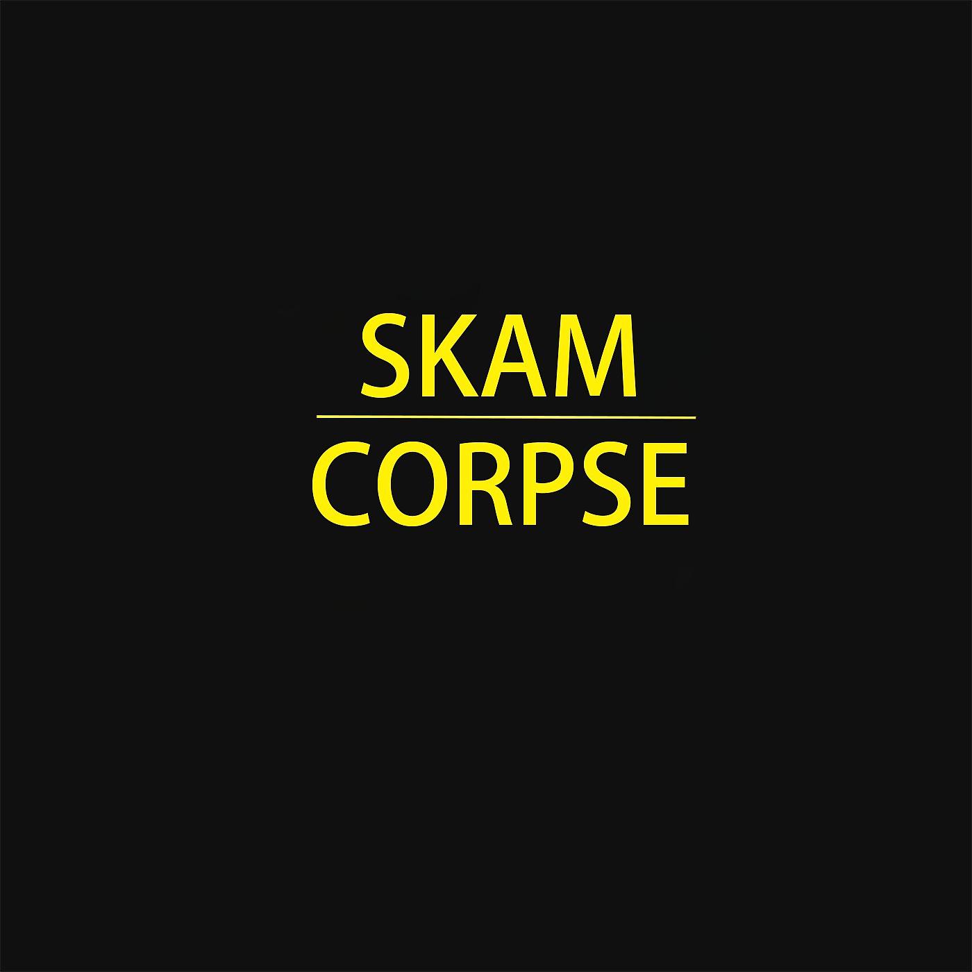 Постер альбома Skam