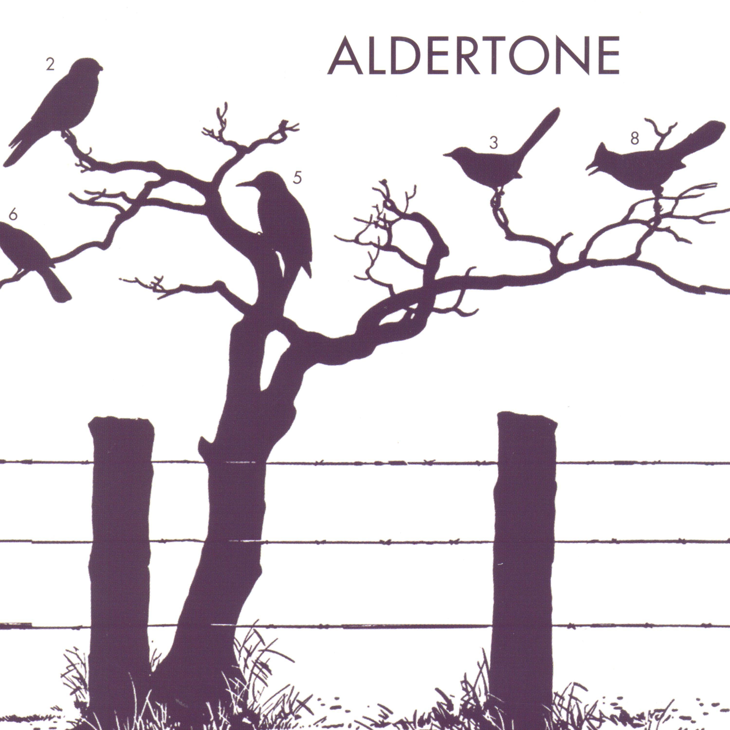 Постер альбома Aldertone