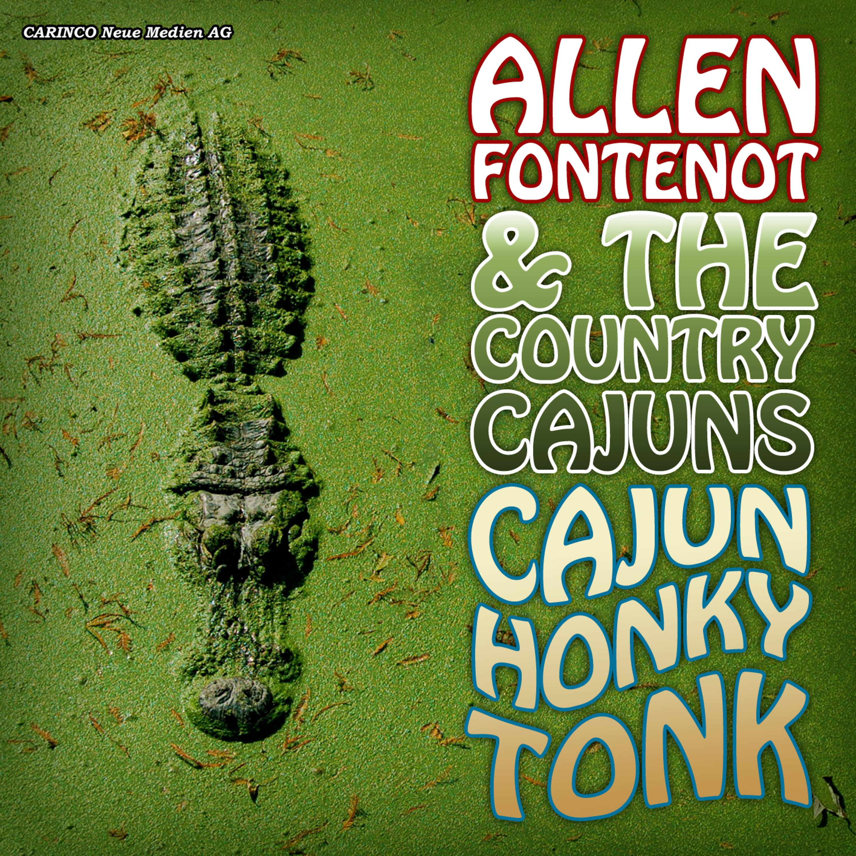 Постер альбома Cajun Honky Tonk