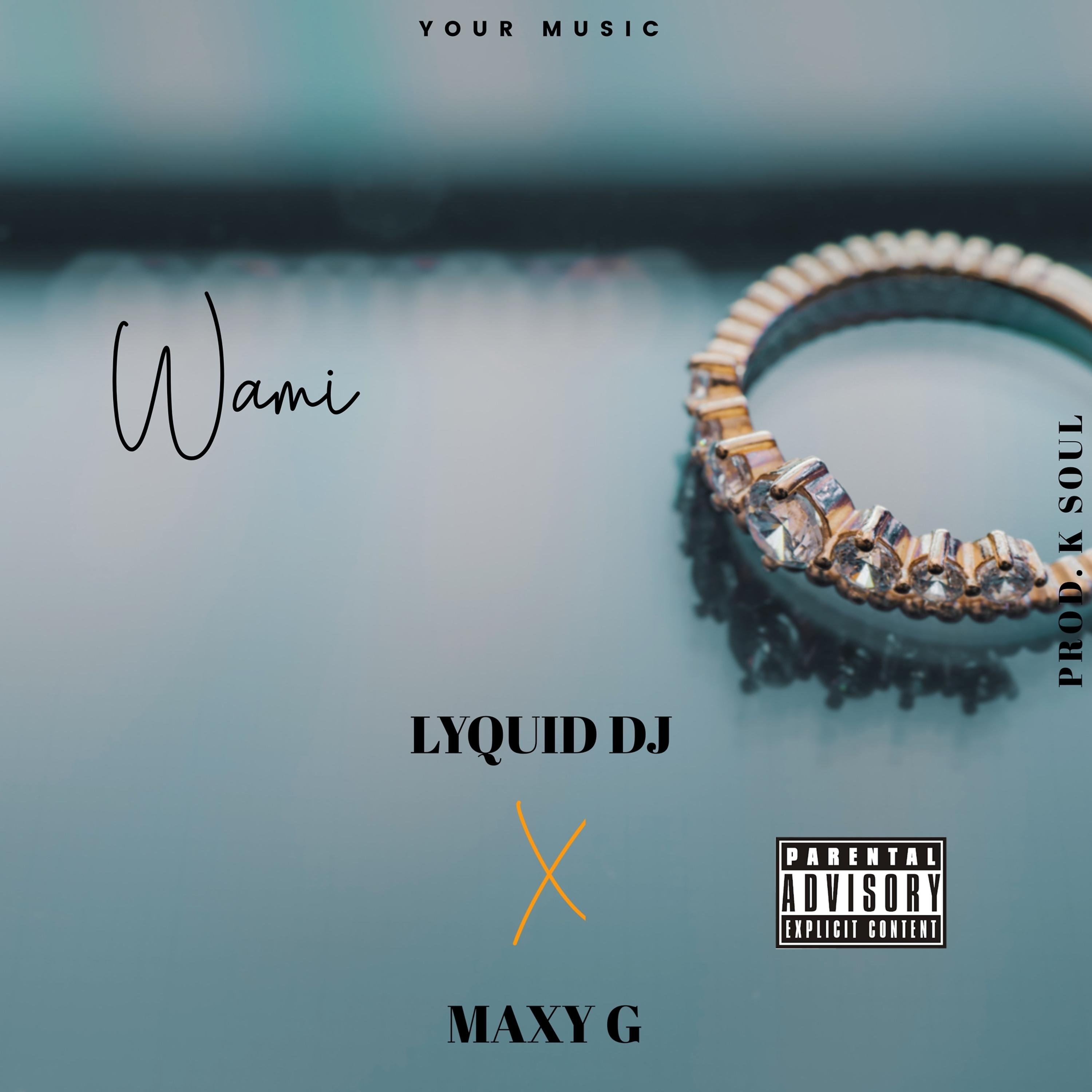 Постер альбома Wami